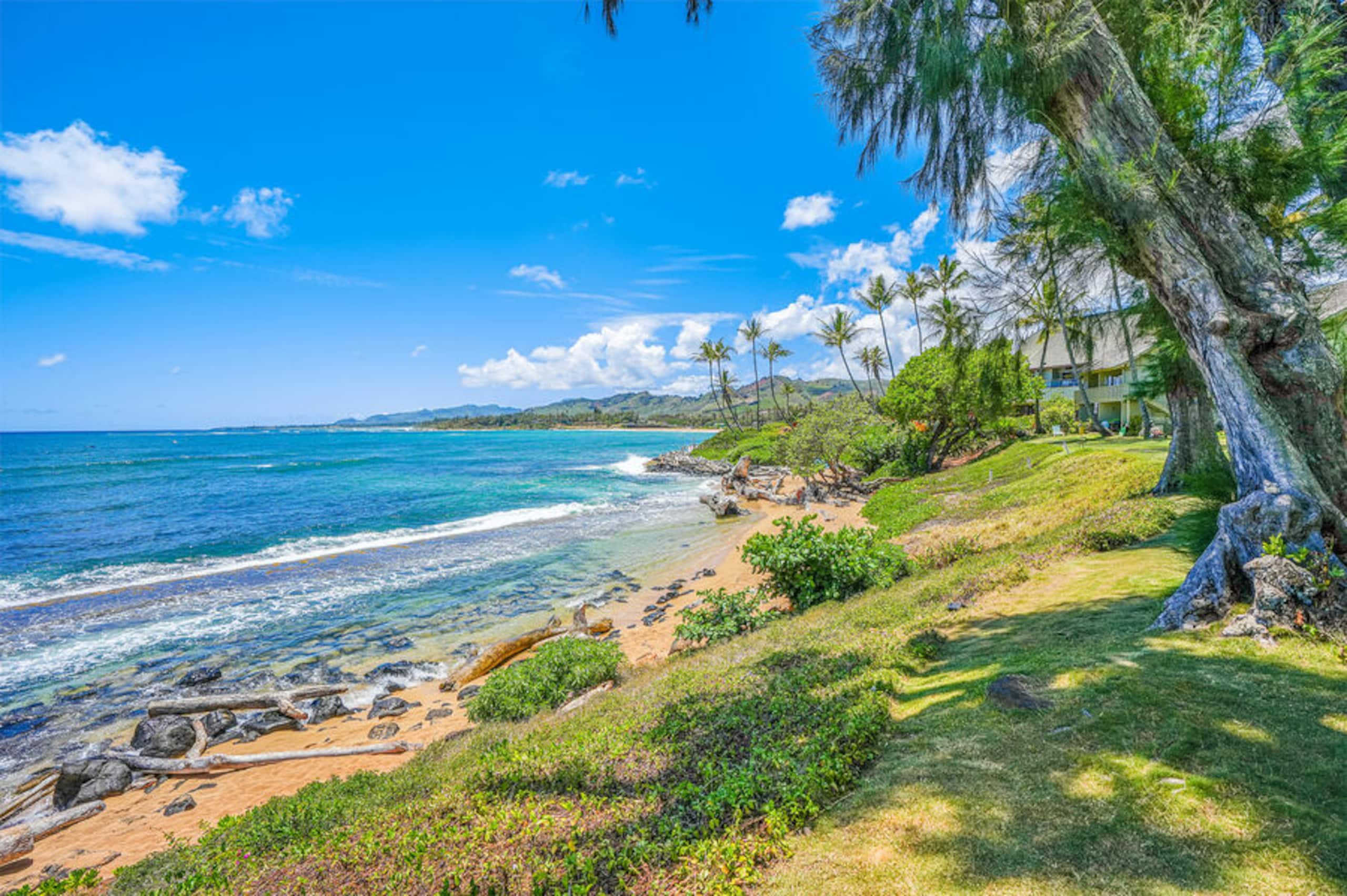 Condo in Kapaa · ★4.33 · 2 bedrooms · 2 beds · 1.5 baths - Image 37