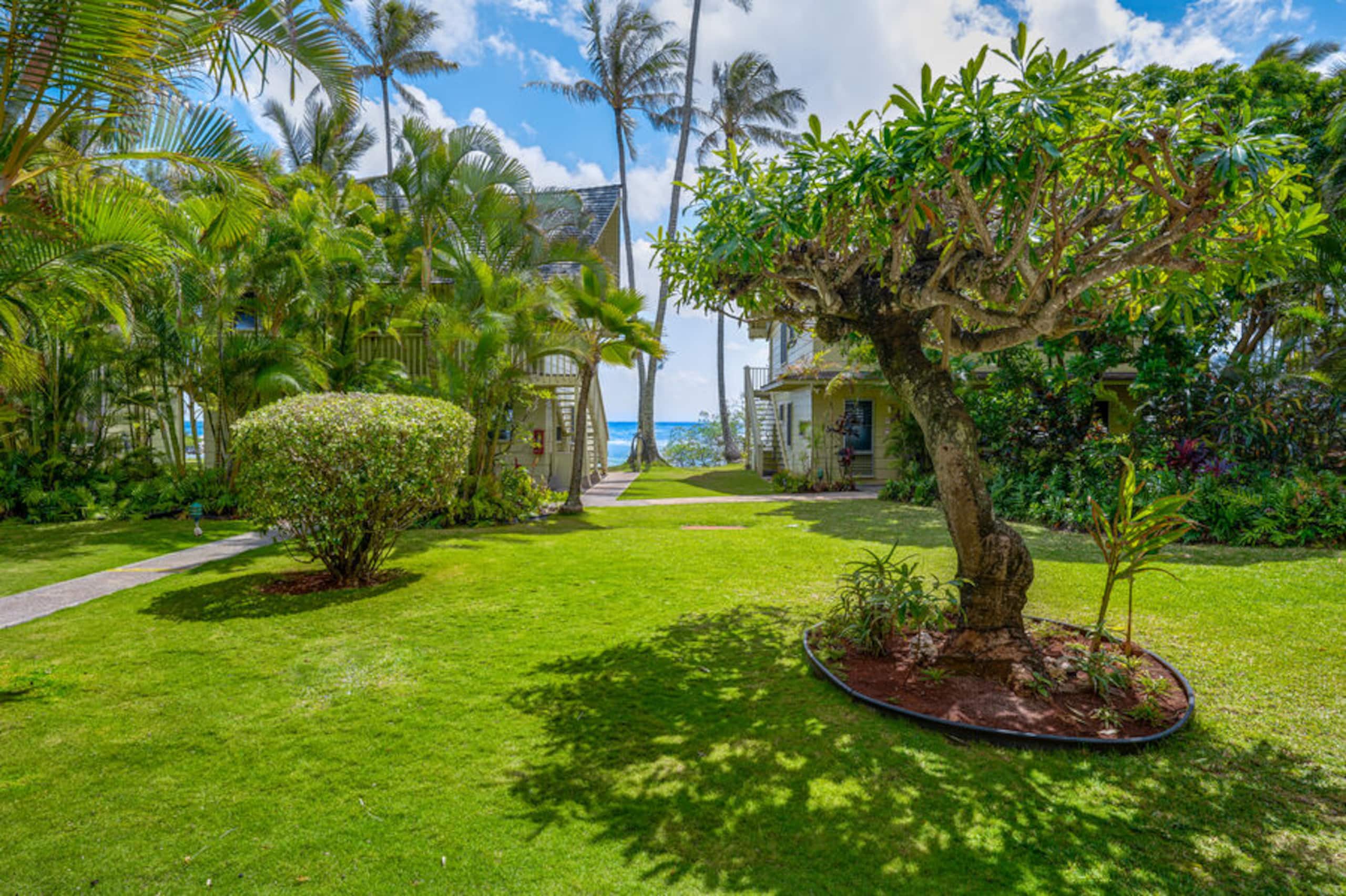 Condo in Kapaa · ★4.33 · 2 bedrooms · 2 beds · 1.5 baths - Image 33