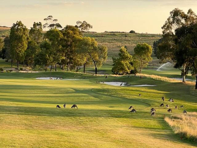 Yarra Valley Serenity House in Golf Country Club gallery image 5