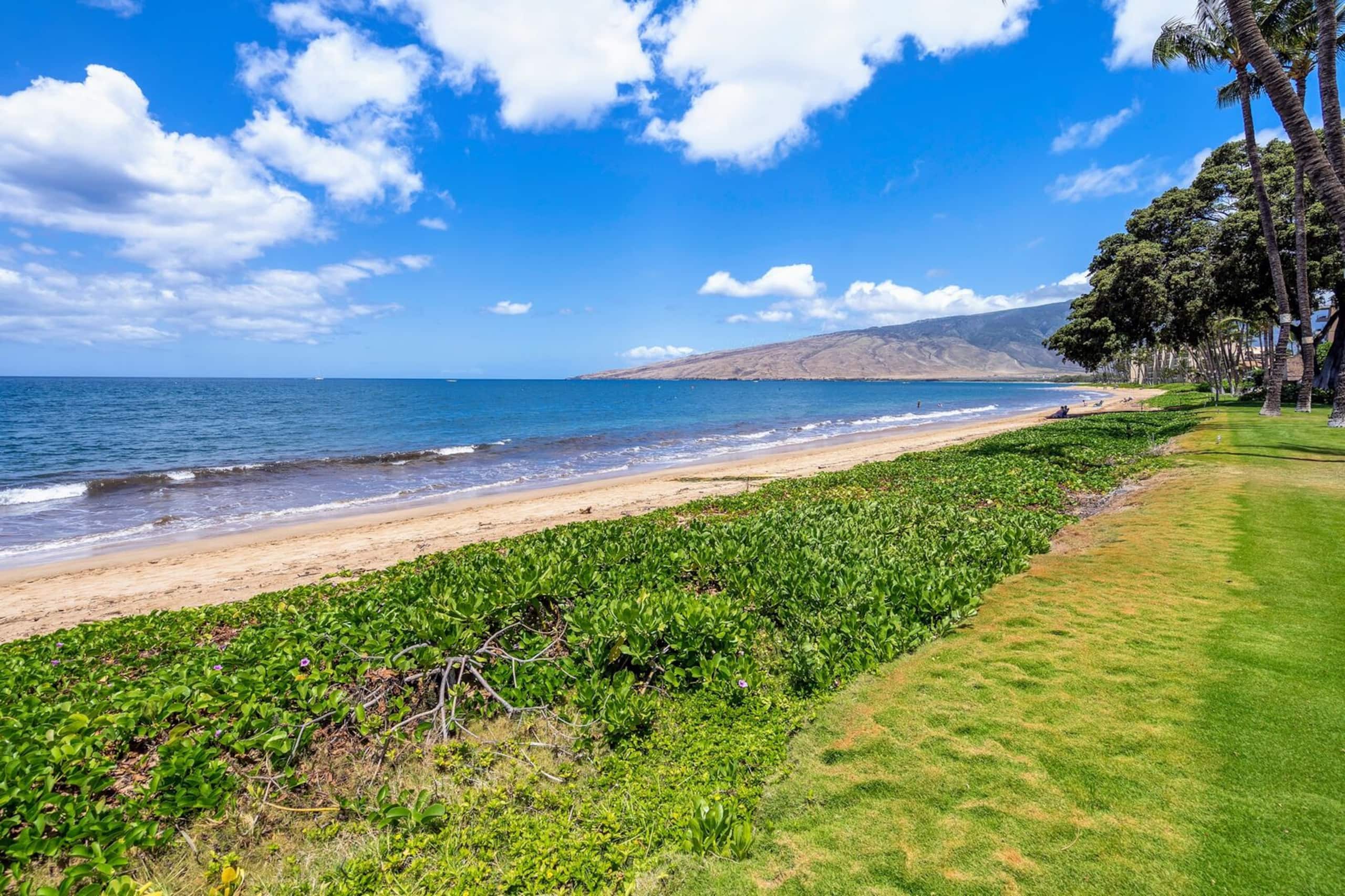 Condo in Kihei · ★4.75 · 1 bedroom · 2 beds · 1 bath - Image 21