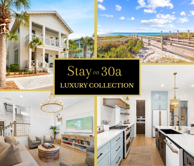 A coastal home is showcased with a light exterior and a welcoming porch adorned with palm trees. A picturesque beach path stretches towards the ocean, framed by natural grasses and under a bright sky. Interiors display a spacious living area with comfortable seating and a modern kitchen featuring light cabinetry.