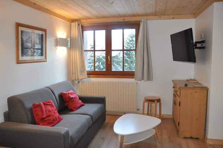 Alpina Lodge - 31 - Appt Rénové - 6 Pers - Villard-Reculas
