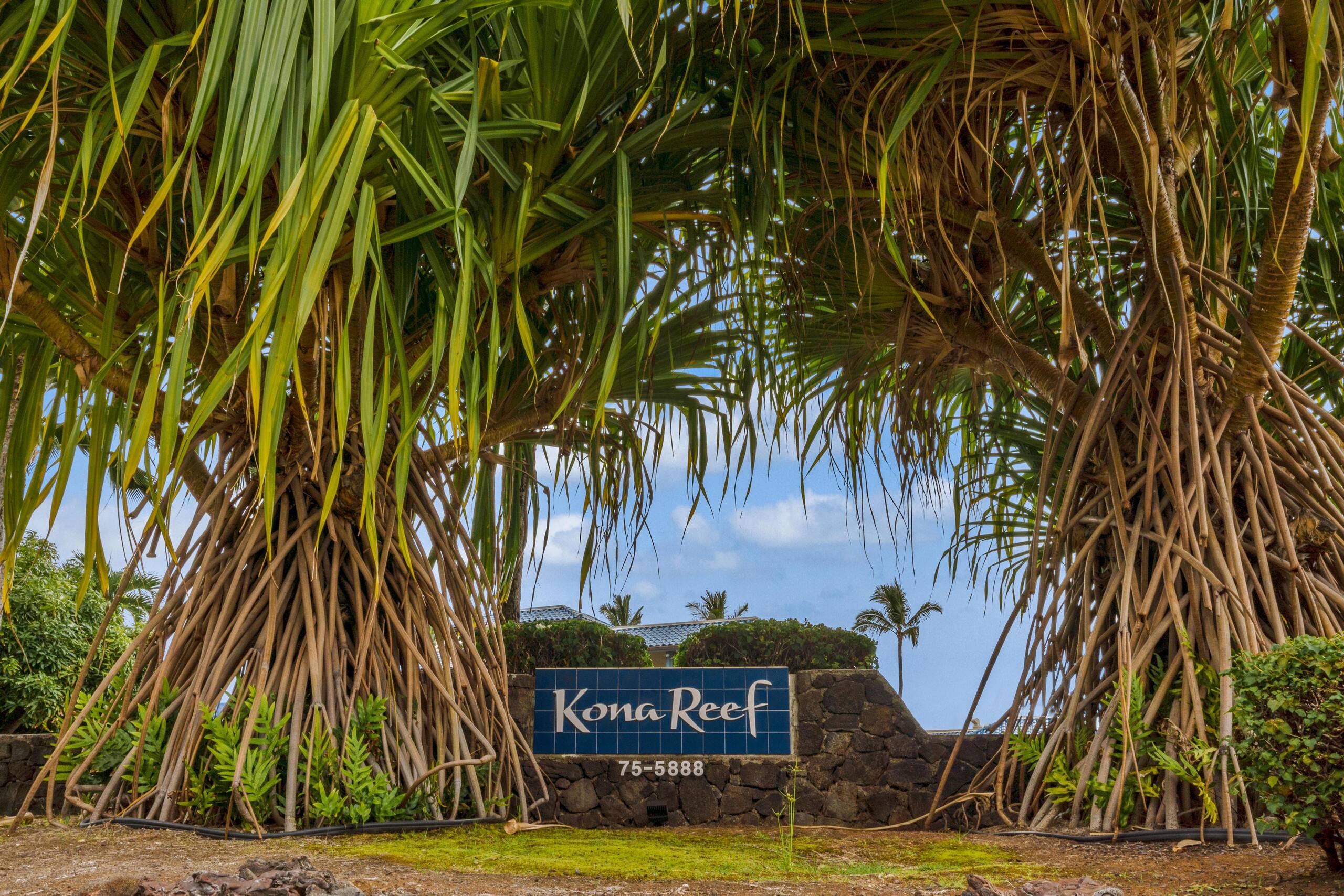 Condo in Kailua-Kona · ★4.67 · 3 bedrooms · 4 beds · 3 baths - Image 41