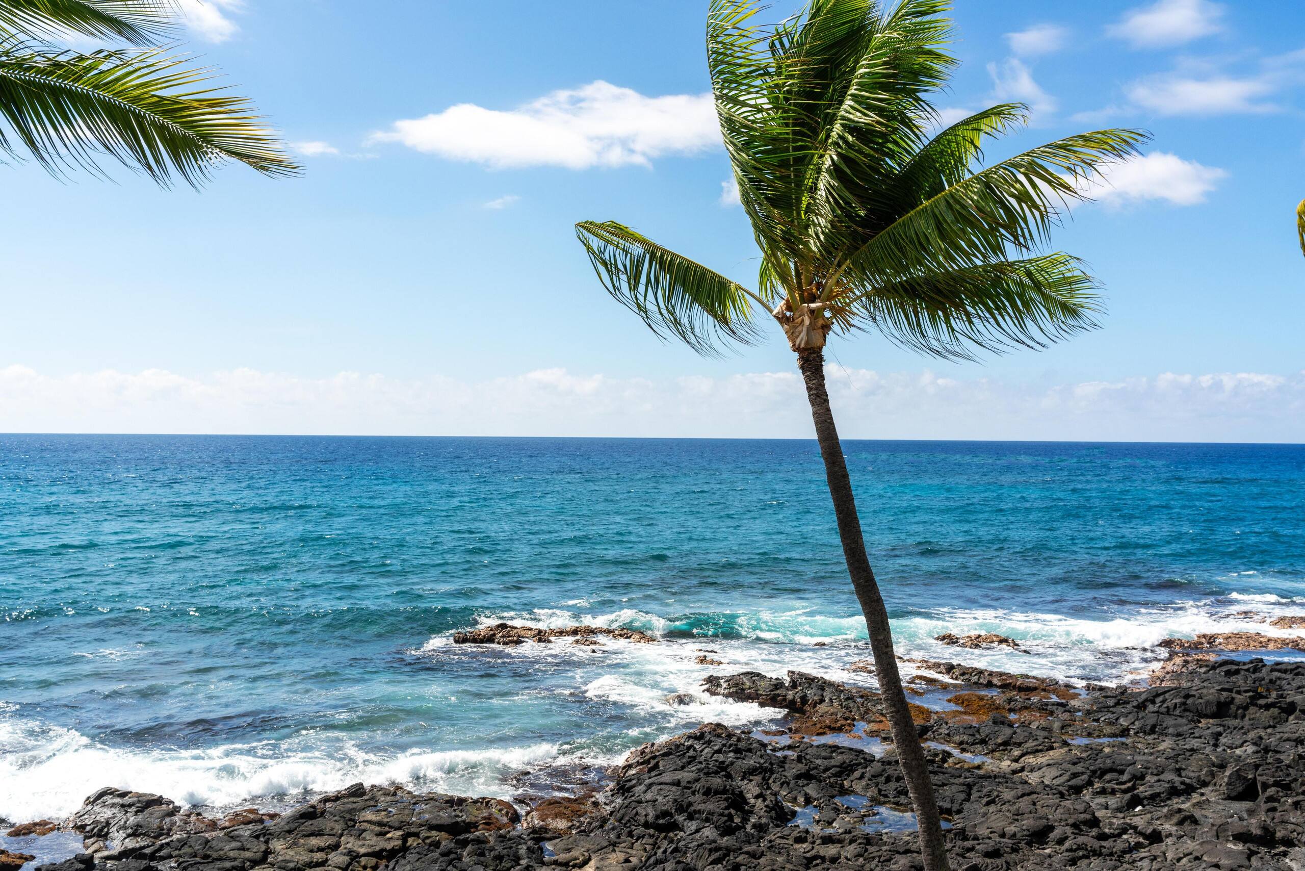 Condo in Kailua-Kona · ★4.67 · 3 bedrooms · 4 beds · 3 baths - Image 38