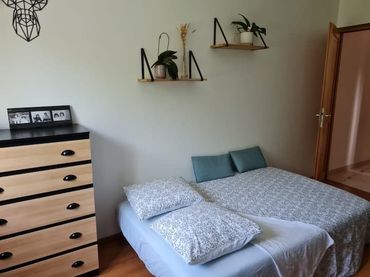 Habitación 1