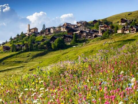 Casa-La Carotto Apart in chalet Saint Veran