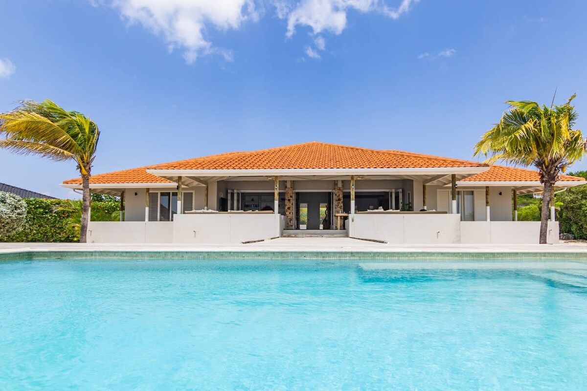 A spacious oceanfront villa is depicted with a terracotta roof and multiple large windows. The inviting infinity pool reflects the clear blue sky, while palm trees frame the property. The villa's design promotes indoor-outdoor living, enhancing the serene atmosphere of the surrounding landscape.