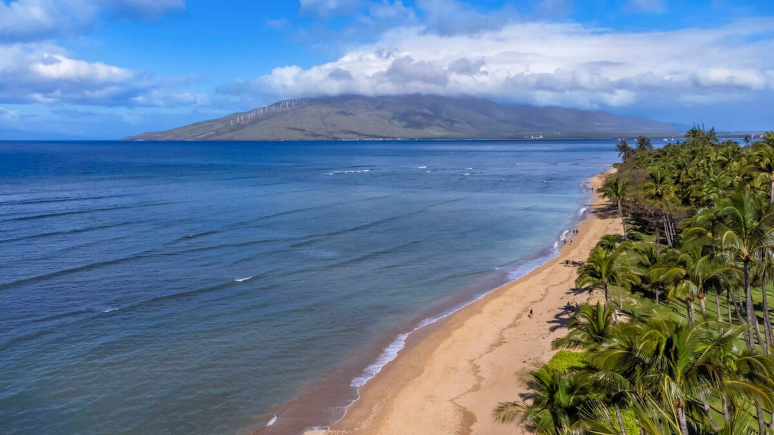 Condo in Kihei · ★4.79 · 2 bedrooms · 3 beds · 2 private baths - Image 38