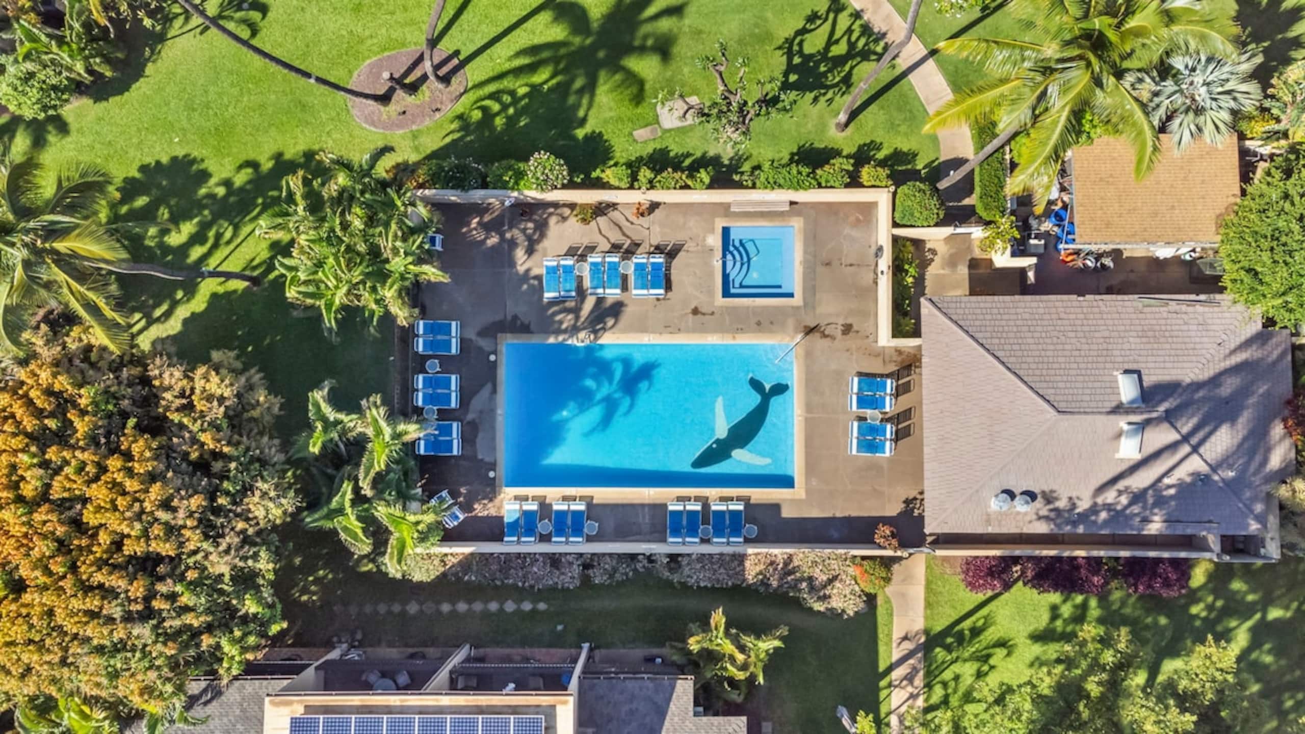 Condo in Kihei · ★4.79 · 2 bedrooms · 3 beds · 2 private baths - Image 42