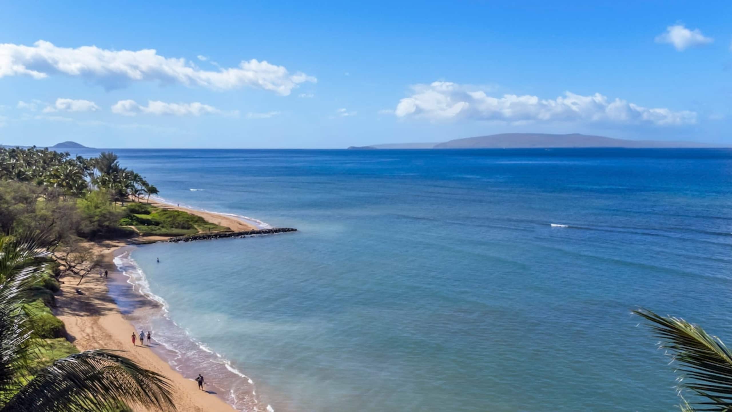 Condo in Kihei · ★4.79 · 2 bedrooms · 3 beds · 2 private baths - Image 35