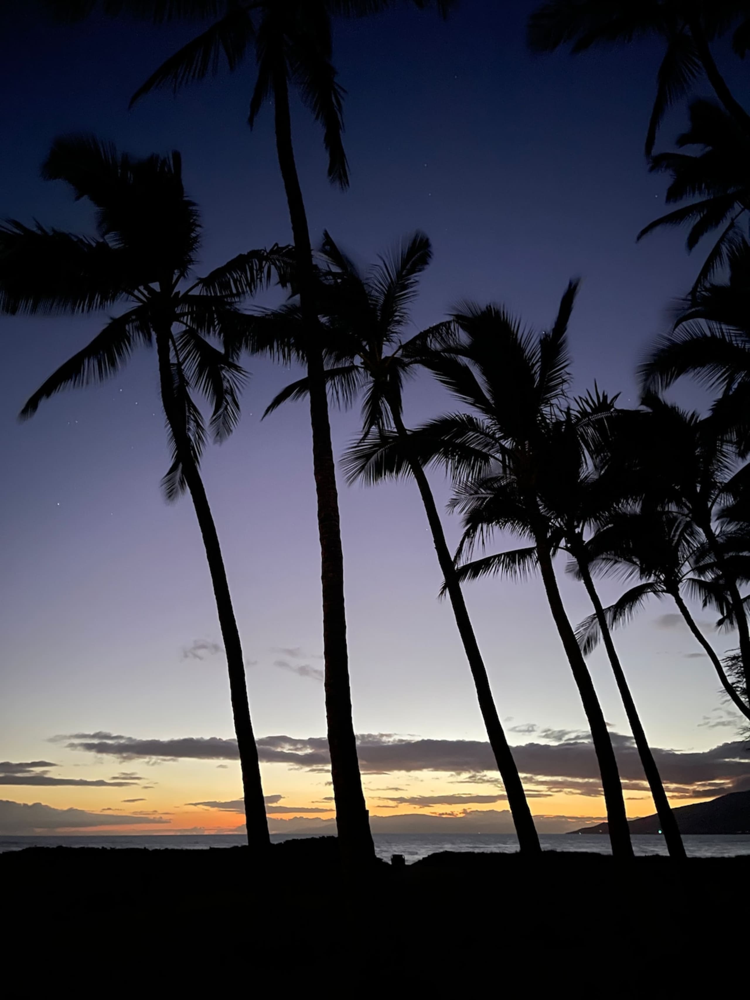 Condo in Kihei · ★4.79 · 2 bedrooms · 3 beds · 2 private baths - Image 37