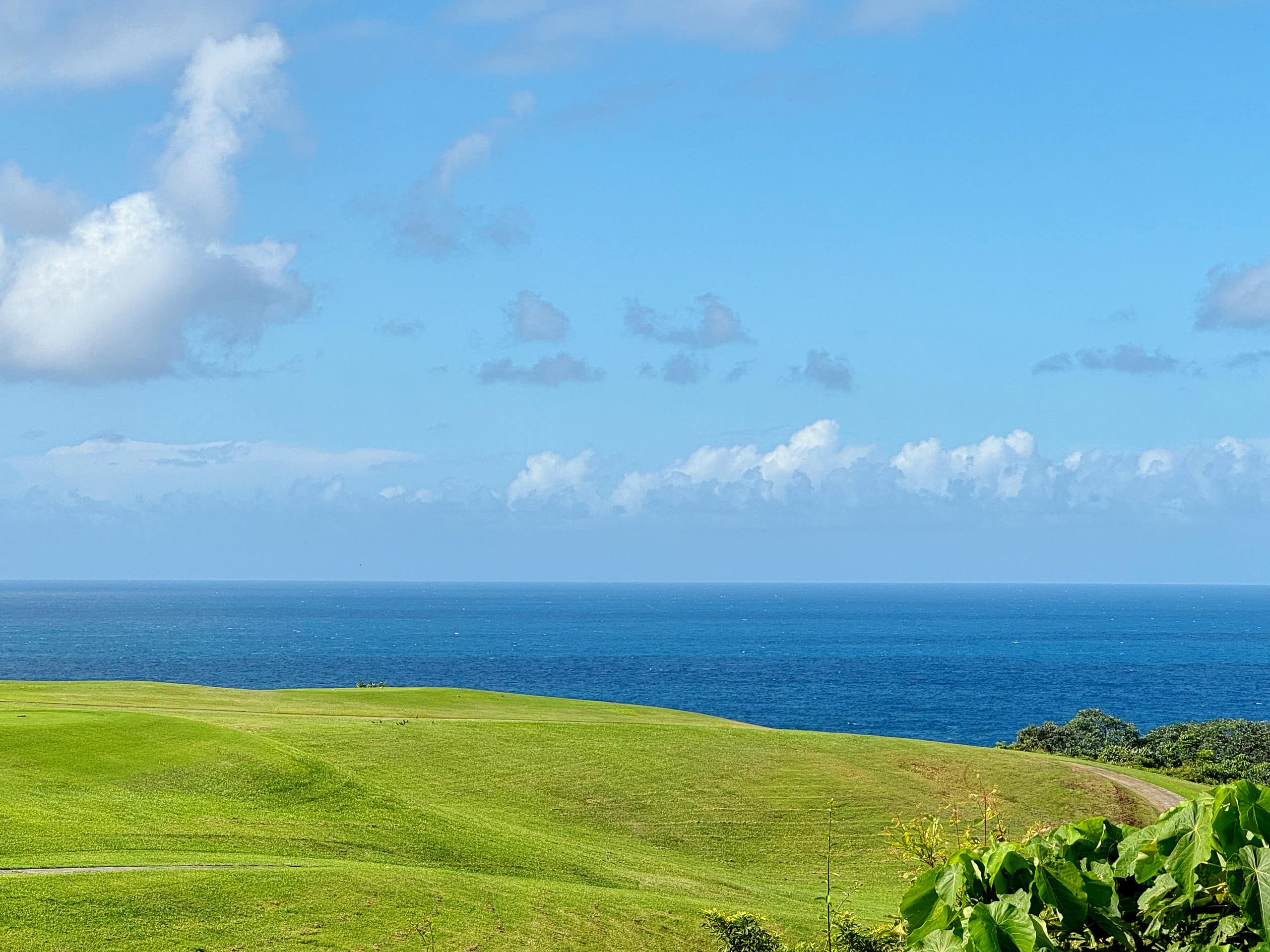 Townhouse in Princeville · ★4.98 · 2 bedrooms · 2 beds · 2 baths - Image 41