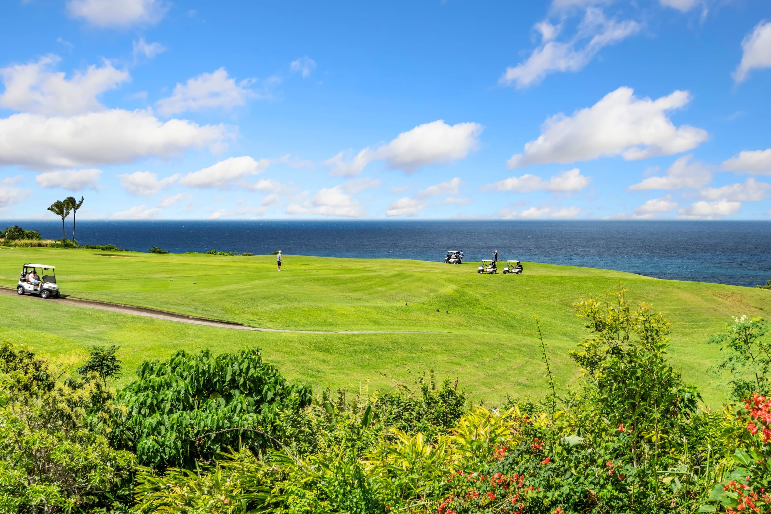 Townhouse in Princeville · ★4.98 · 2 bedrooms · 2 beds · 2 baths - Image 31