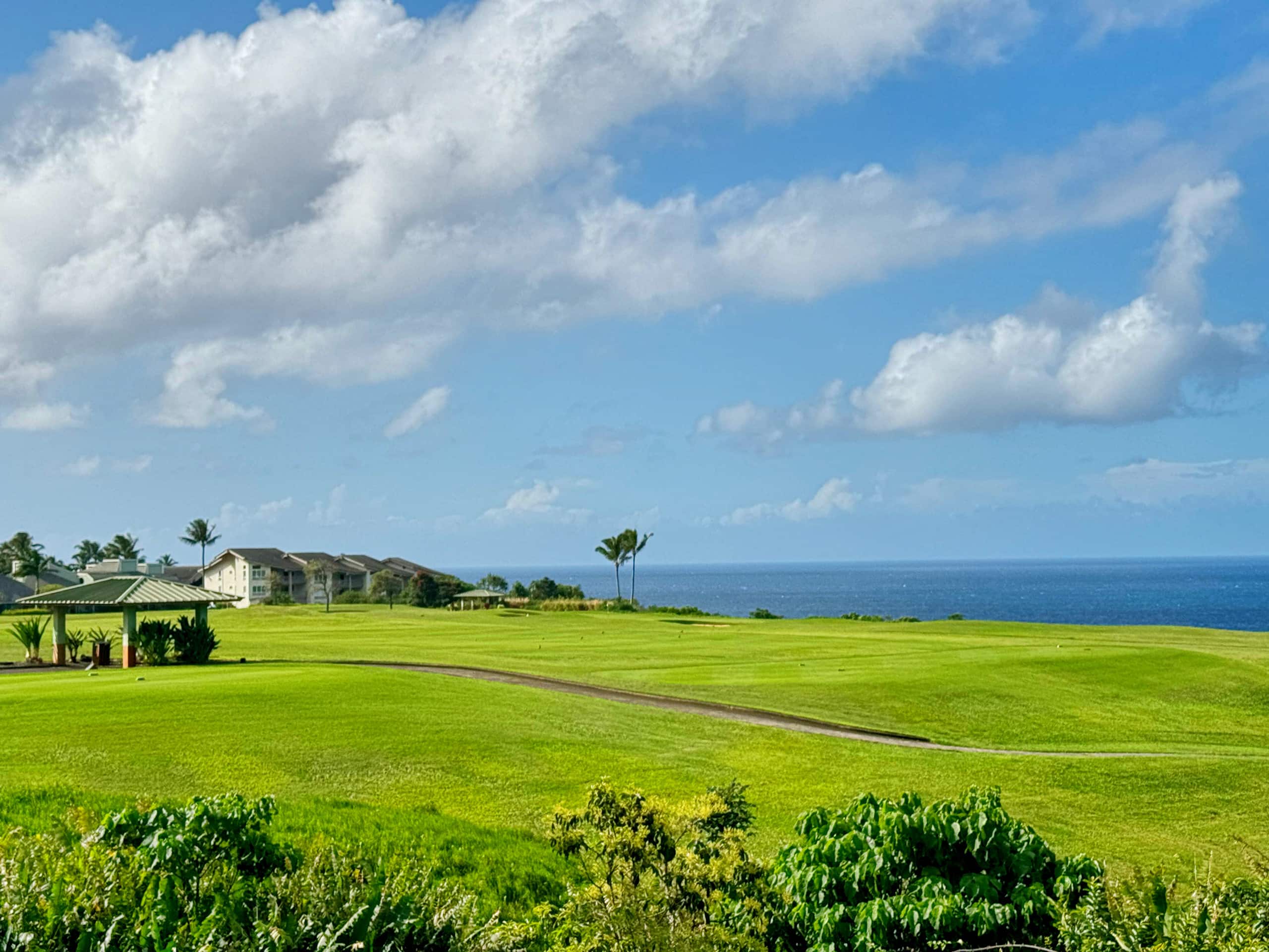 Townhouse in Princeville · ★4.98 · 2 bedrooms · 2 beds · 2 baths - Image 39
