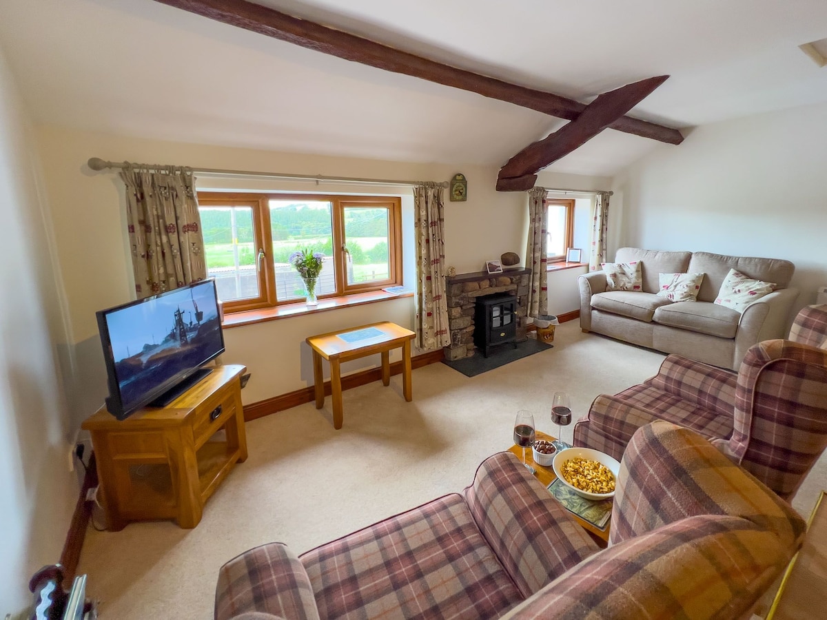 The living area features a comfortable seating arrangement with two plaid sofas and an armchair, arranged around a wooden coffee table. A television displays a scene, while large windows provide views of the surrounding greenery. Exposed beams add character to the ceiling.