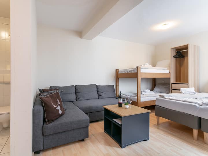 Appartement Au Centre, 350 M Du Téléski - Itter