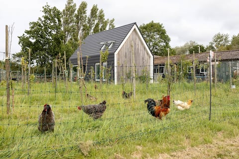 Hello Zeeland - Vacation Rental Kalfhoeksepad 8