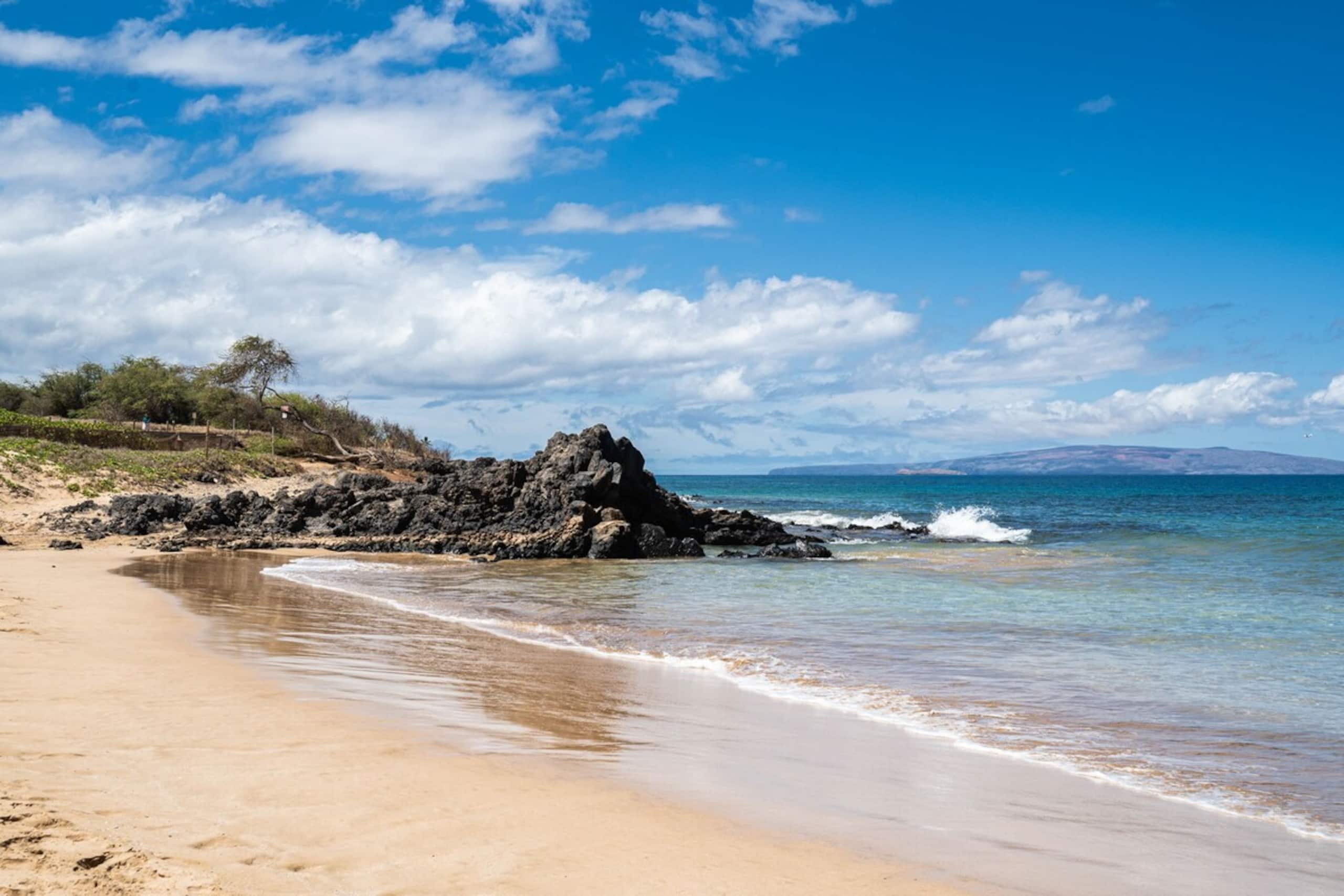 Condo in Kihei · ★4.94 · 2 bedrooms · 4 beds · 2 baths - Image 56