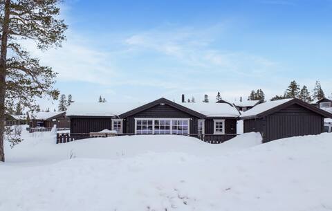 4 bedroom nice home in Engerdal