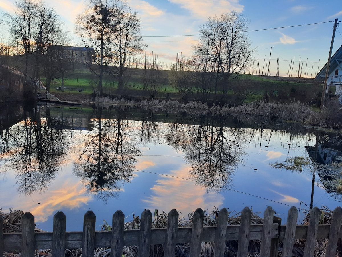 A calm pond is visible, reflecting the surrounding trees and the soft pastel colors of the sky. The foreground features a wooden fence, while the background showcases a natural landscape with grassy areas and distant structures.