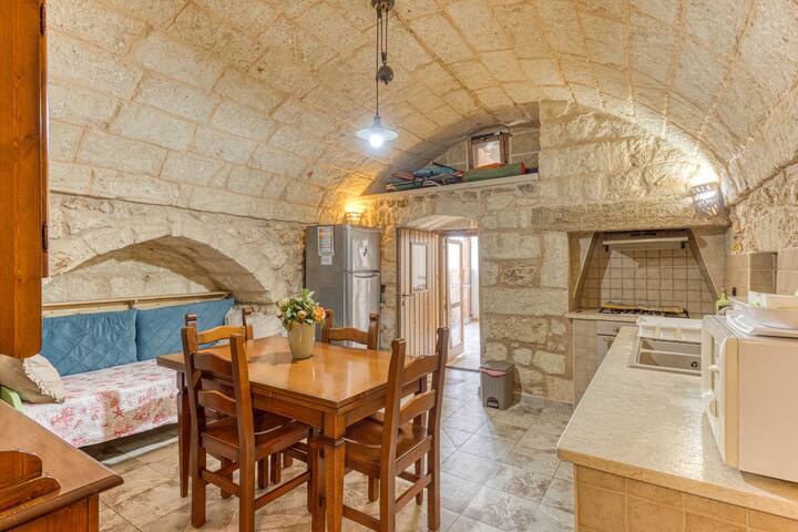 Liama del sole gallery image 5