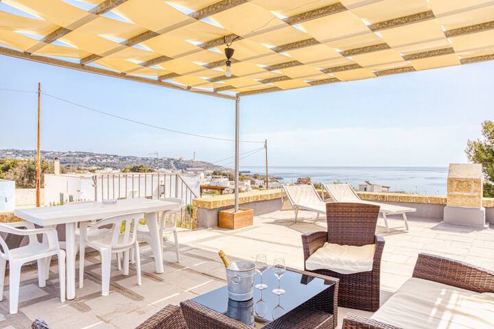 Liama del sole gallery image 3