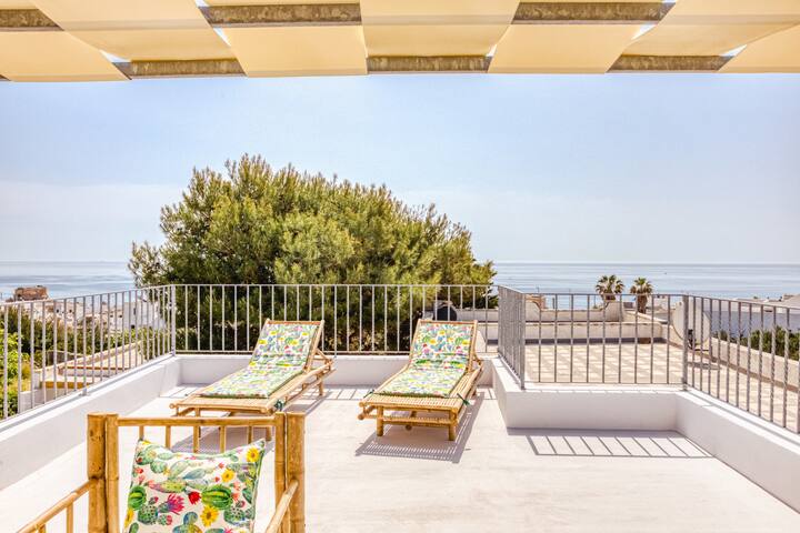 Liama del sole gallery image 2