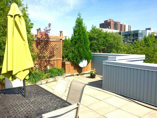 Montreal Sunrise Suite 404