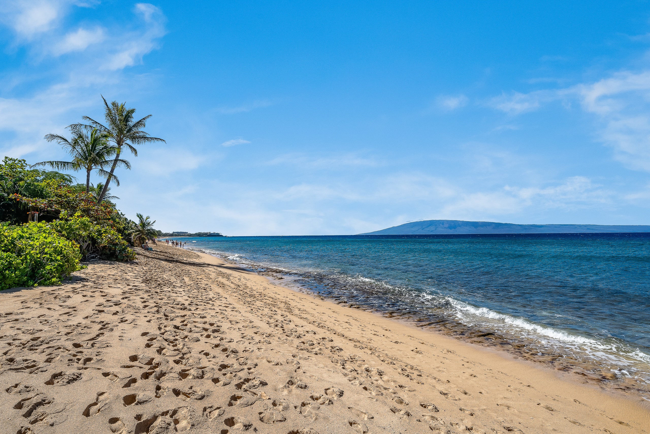 Condo in Lahaina · ★4.89 · 1 bedroom · 1 bed · 1 bath - Image 18