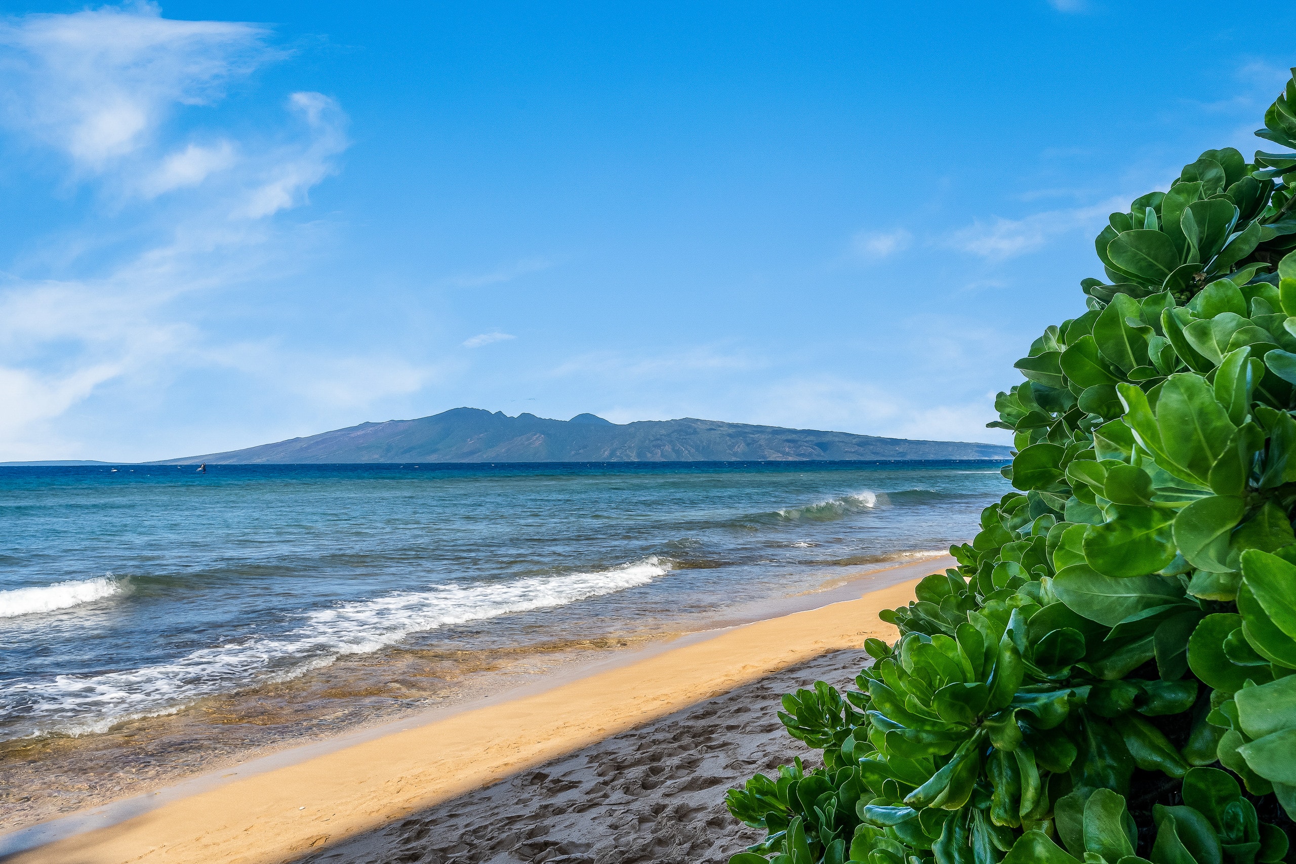 Condo in Lahaina · ★4.89 · 1 bedroom · 1 bed · 1 bath - Image 17
