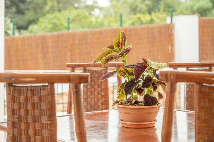 Apartament Vaixell ático gallery image 5