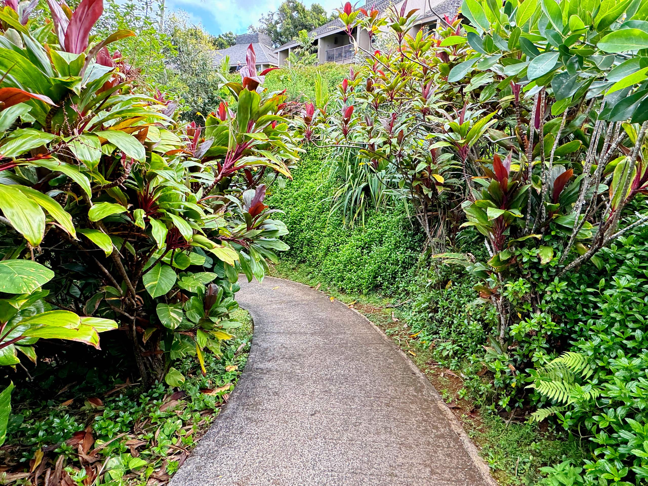 Condo in Princeville · ★4.94 · 1 bedroom · 1 bed · 1 bath - Image 30