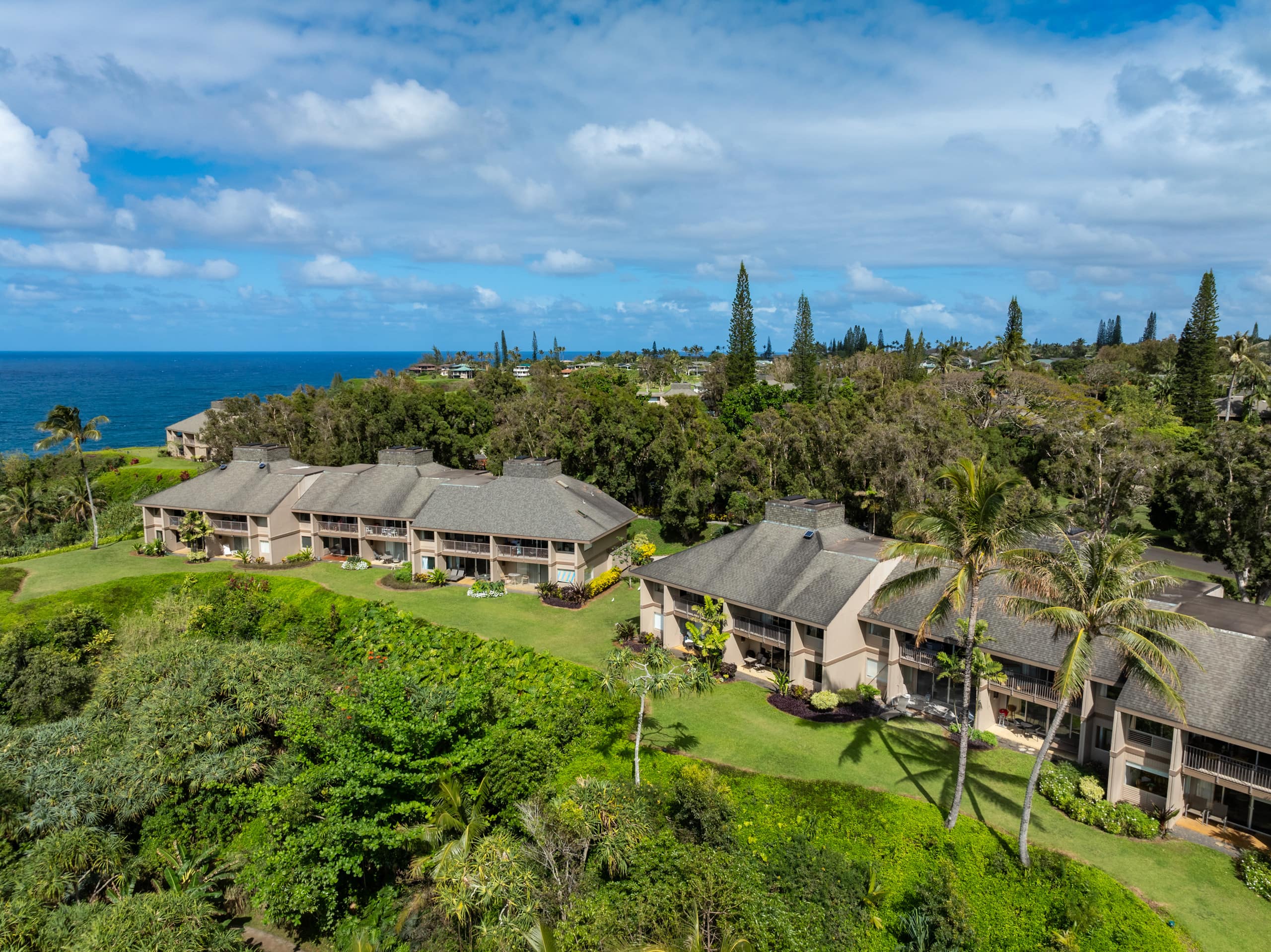 Condo in Princeville · ★4.94 · 1 bedroom · 1 bed · 1 bath - Image 38