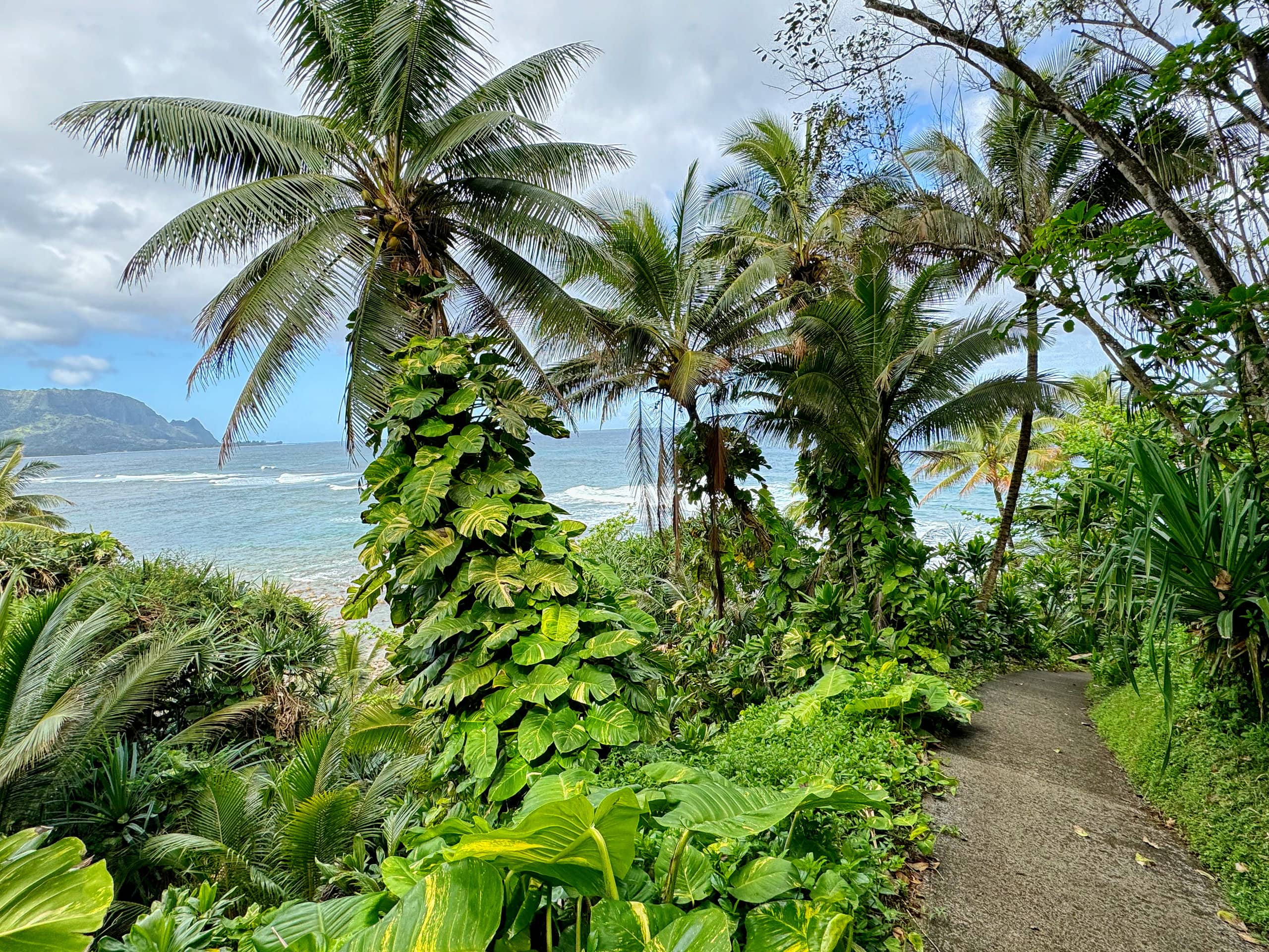 Condo in Princeville · ★4.94 · 1 bedroom · 1 bed · 1 bath - Image 31