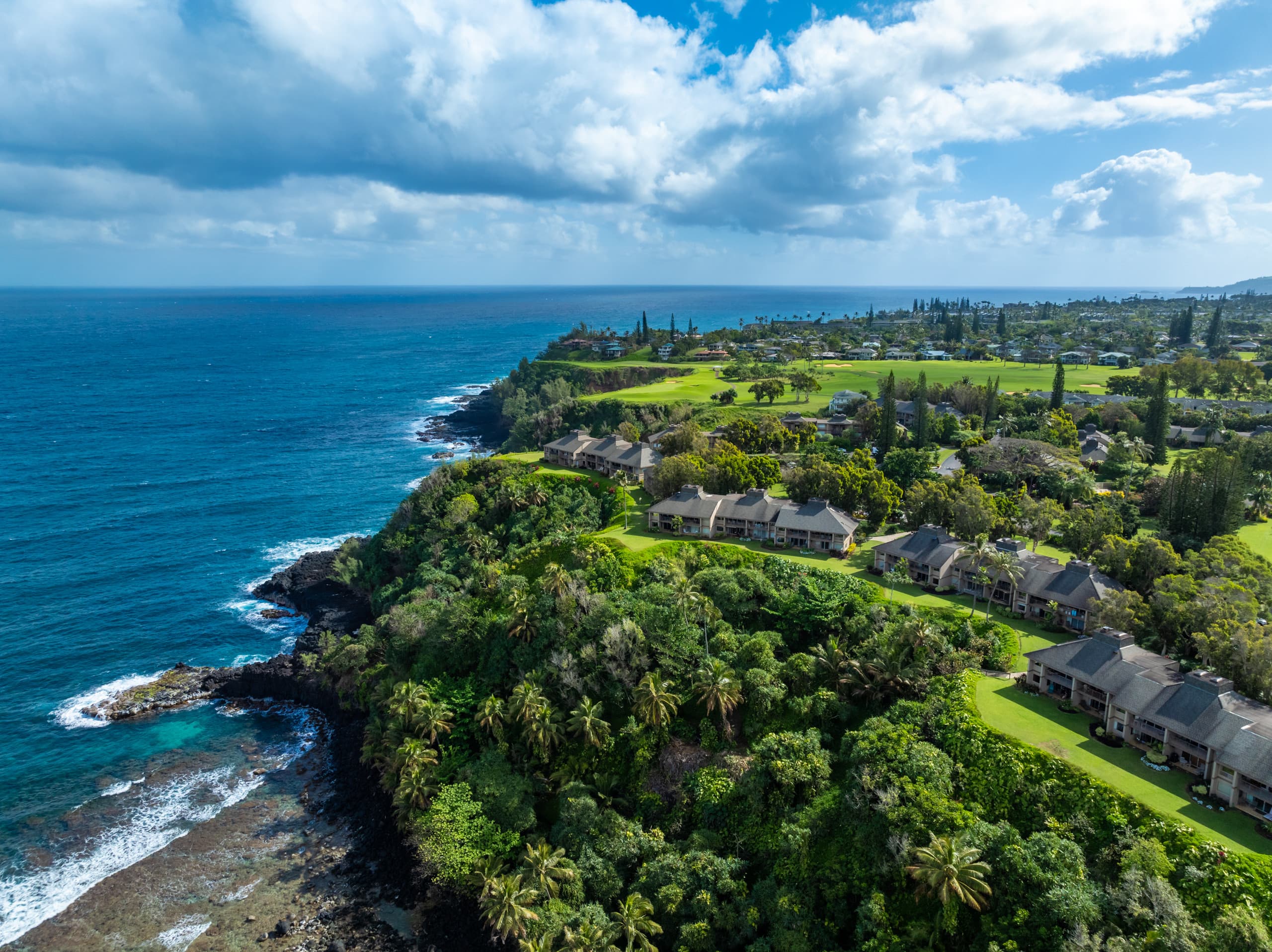 Condo in Princeville · ★4.94 · 1 bedroom · 1 bed · 1 bath - Image 43