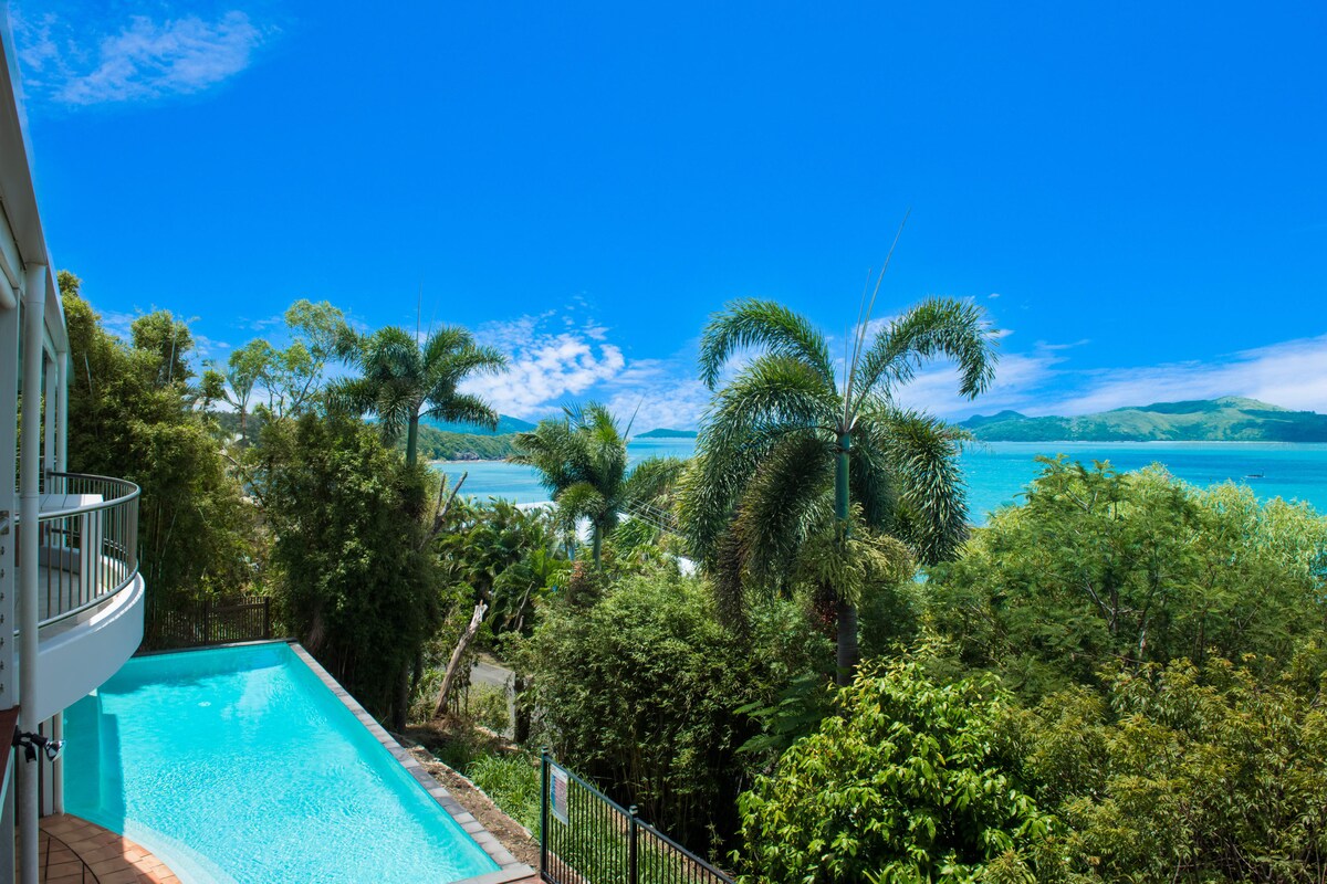 A large swimming pool is visible, framed by lush tropical palm trees, with vibrant blue water reflecting the clear sky. The expansive view of the Coral Sea and Whitsunday Islands enhances the serene atmosphere of the outdoor space.