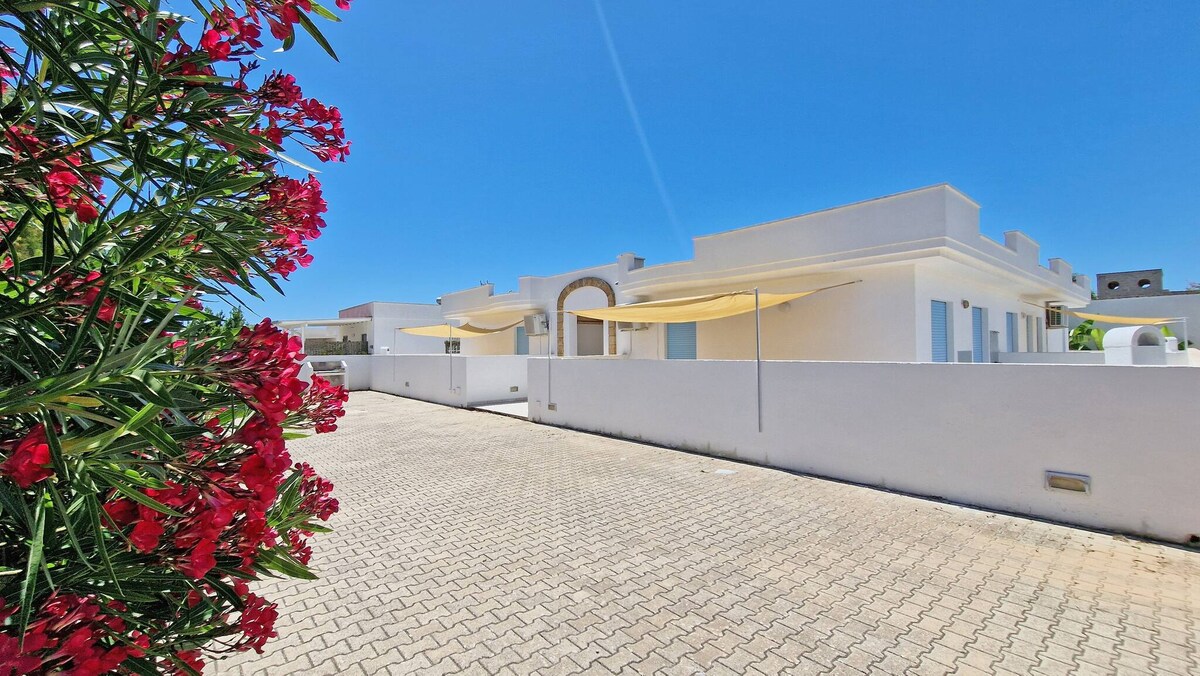 A spacious outdoor area is presented, featuring a white building with awnings providing shade. Vibrant red flowers contrast against the white wall and blue sky, creating an inviting atmosphere. The paved walkway enhances accessibility and invites guests to explore the surroundings.