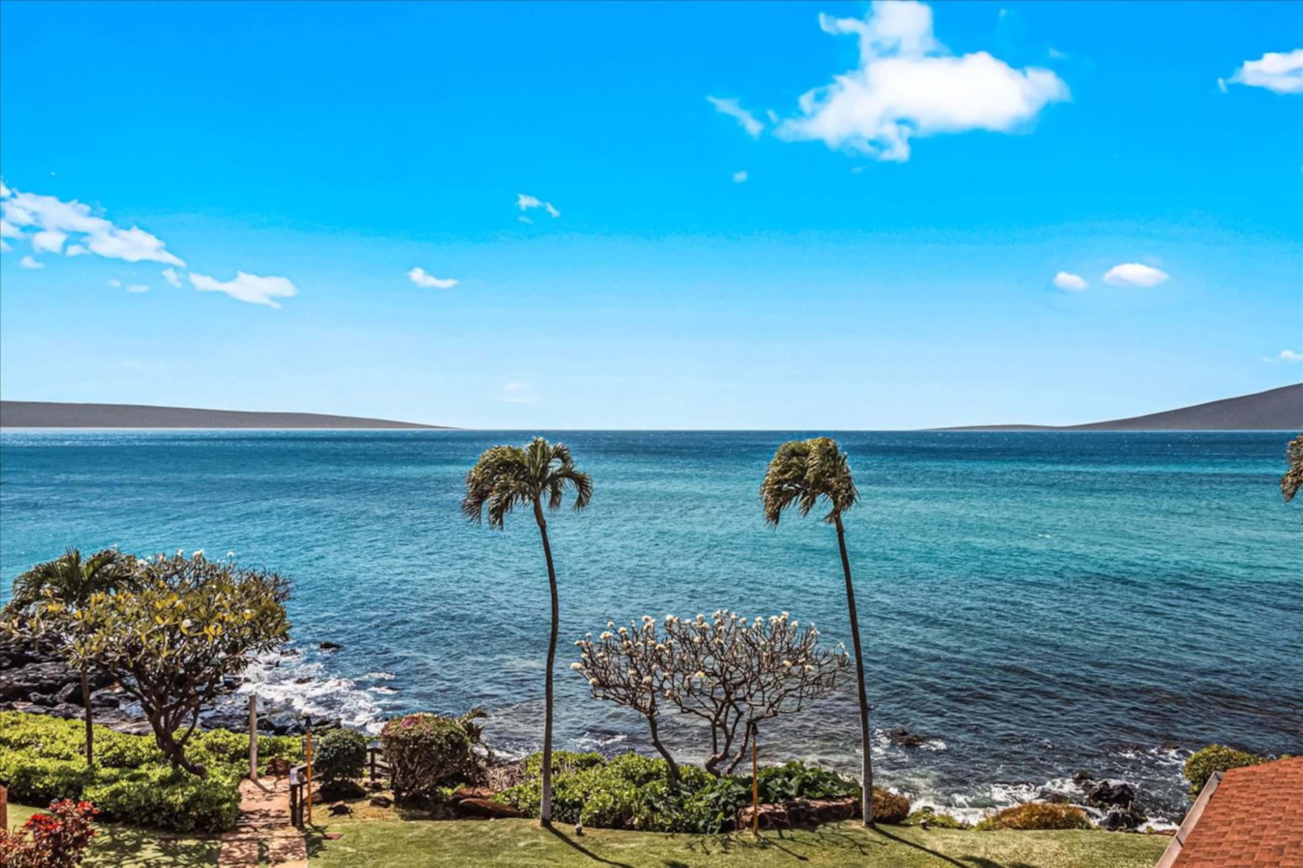 Condo in Lahaina · ★4.76 · 2 bedrooms · 4 beds · 2 private baths - Image 31