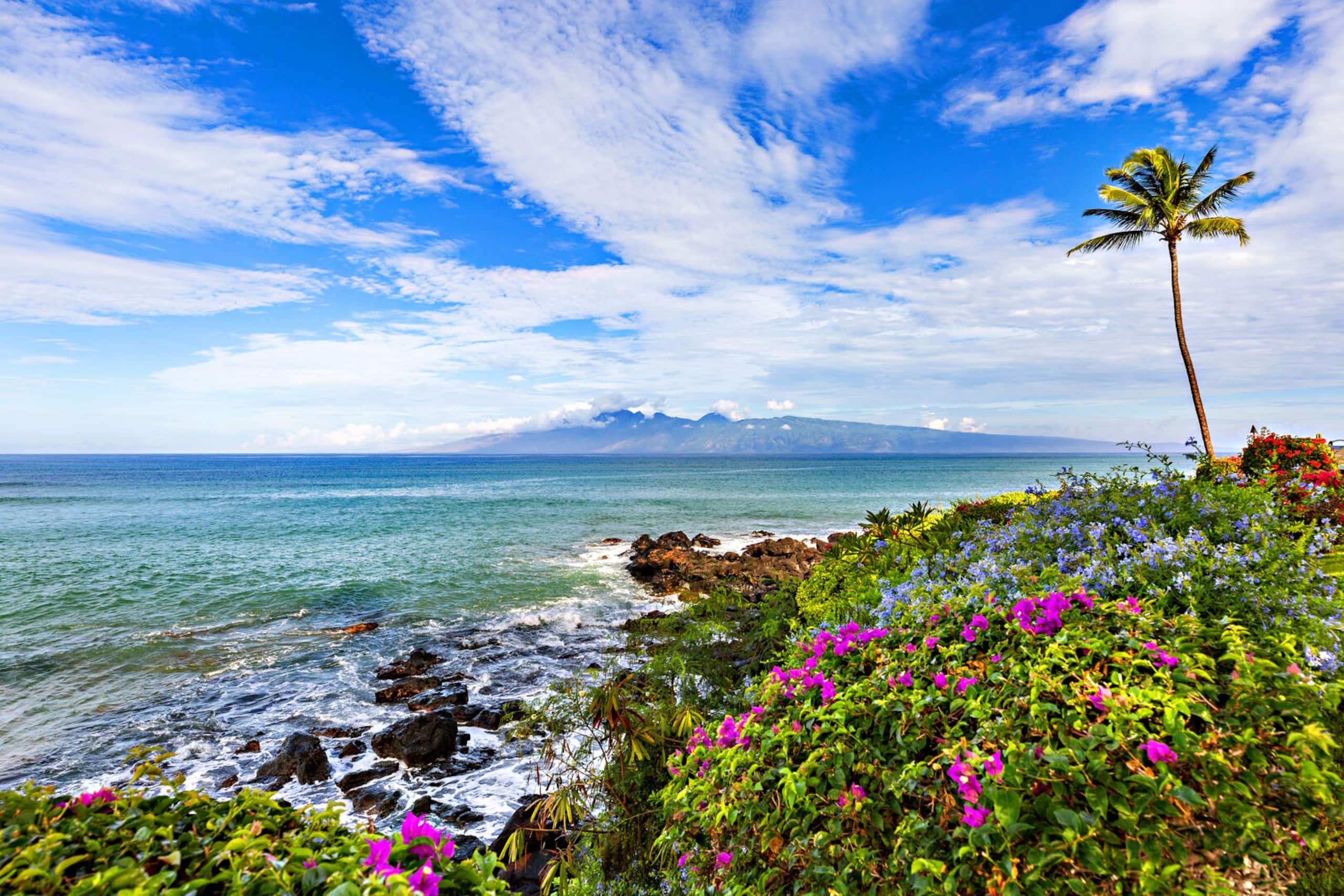 Condo in Lahaina · ★4.76 · 2 bedrooms · 4 beds · 2 private baths - Image 29