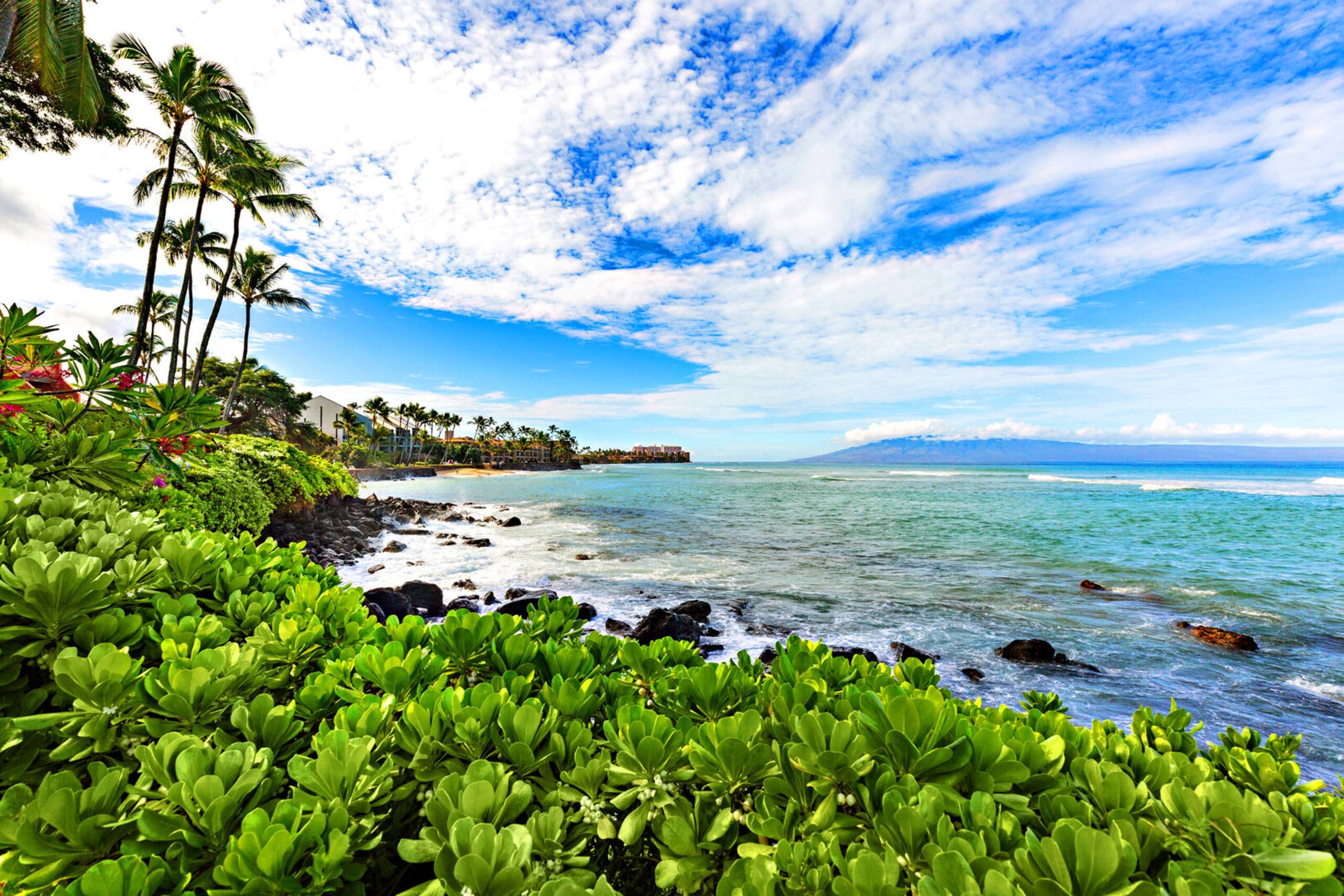 Condo in Lahaina · ★4.76 · 2 bedrooms · 4 beds · 2 private baths - Image 30