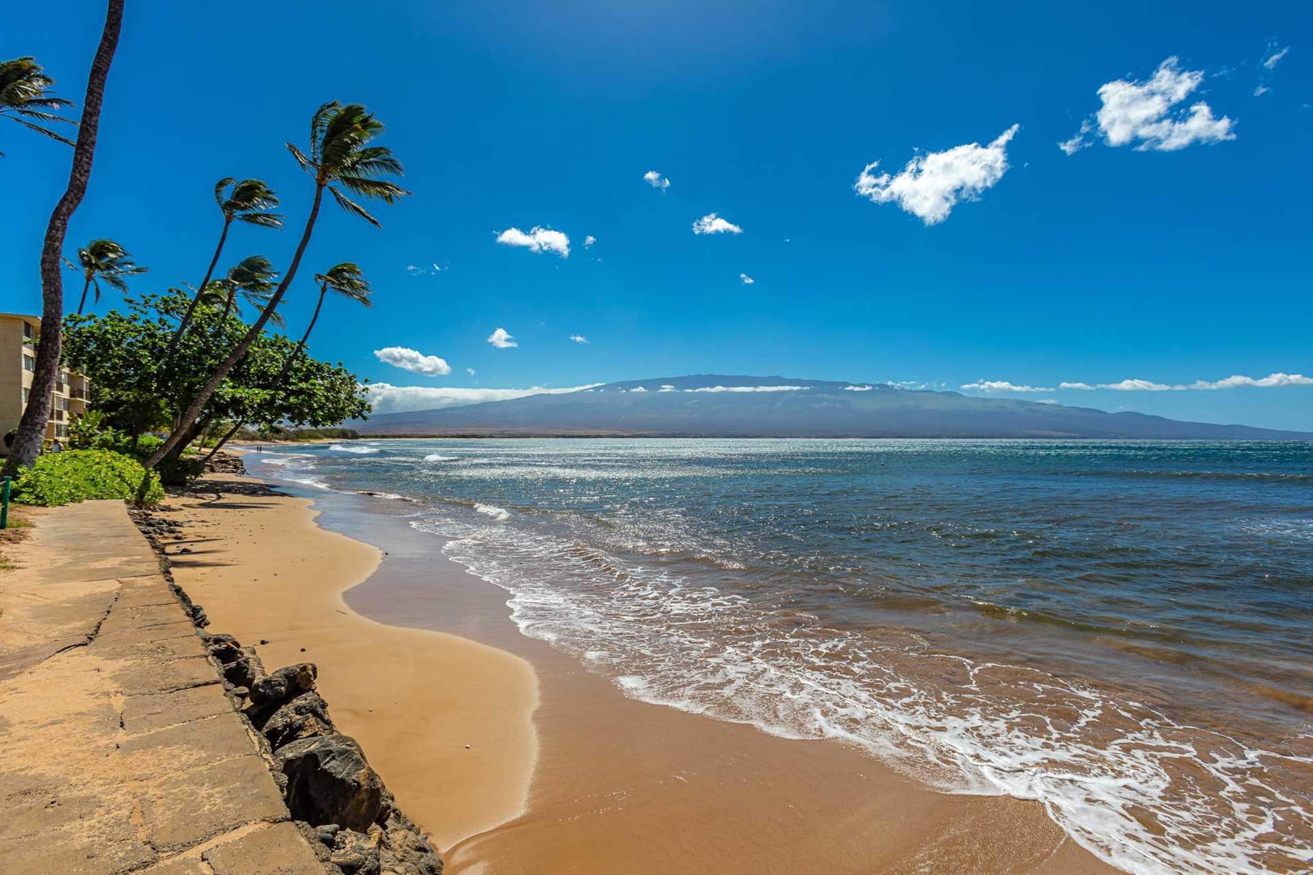 Condo in Wailuku · ★4.71 · 2 bedrooms · 3 beds · 2 baths - Image 37