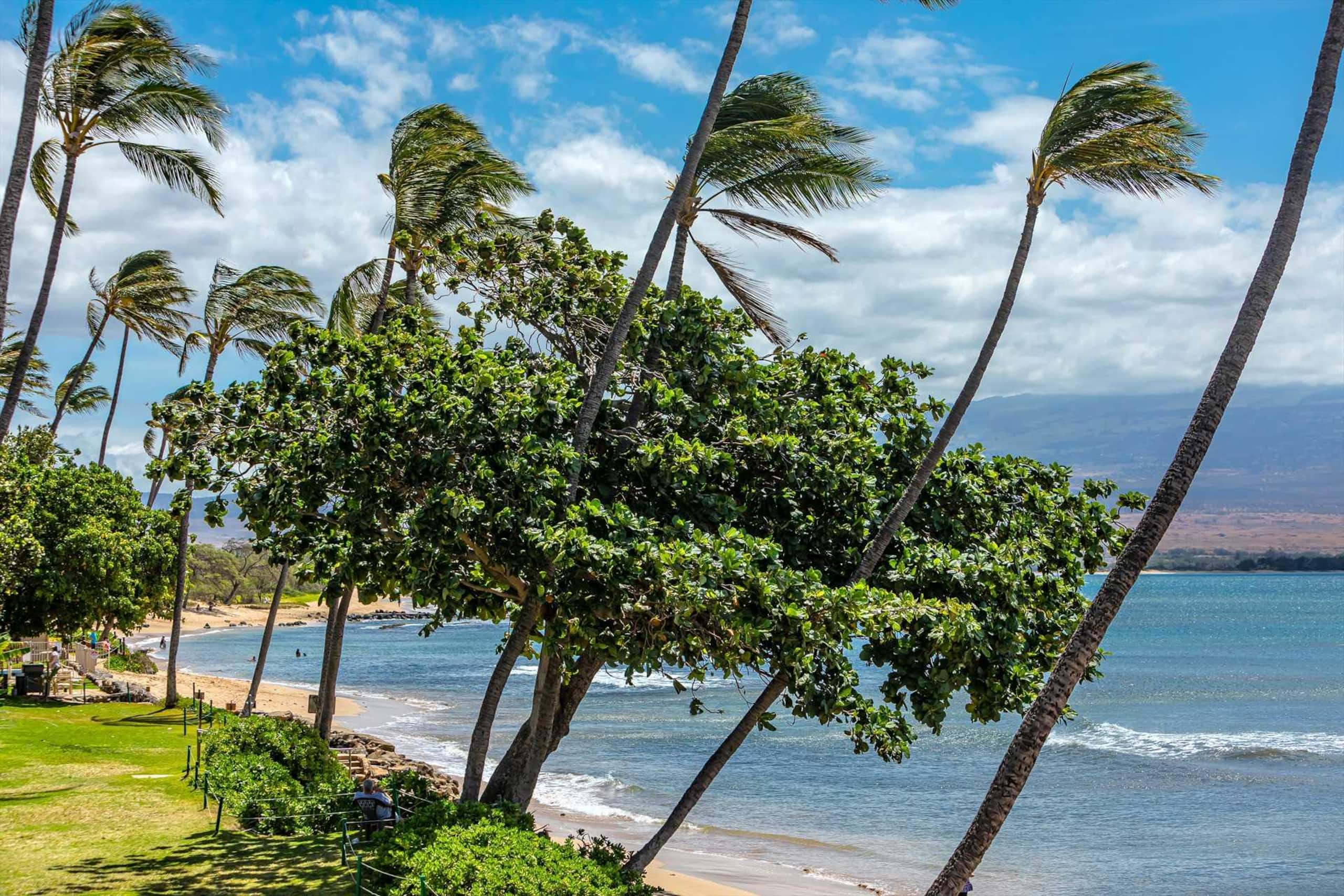Condo in Wailuku · ★4.71 · 2 bedrooms · 3 beds · 2 baths - Image 38