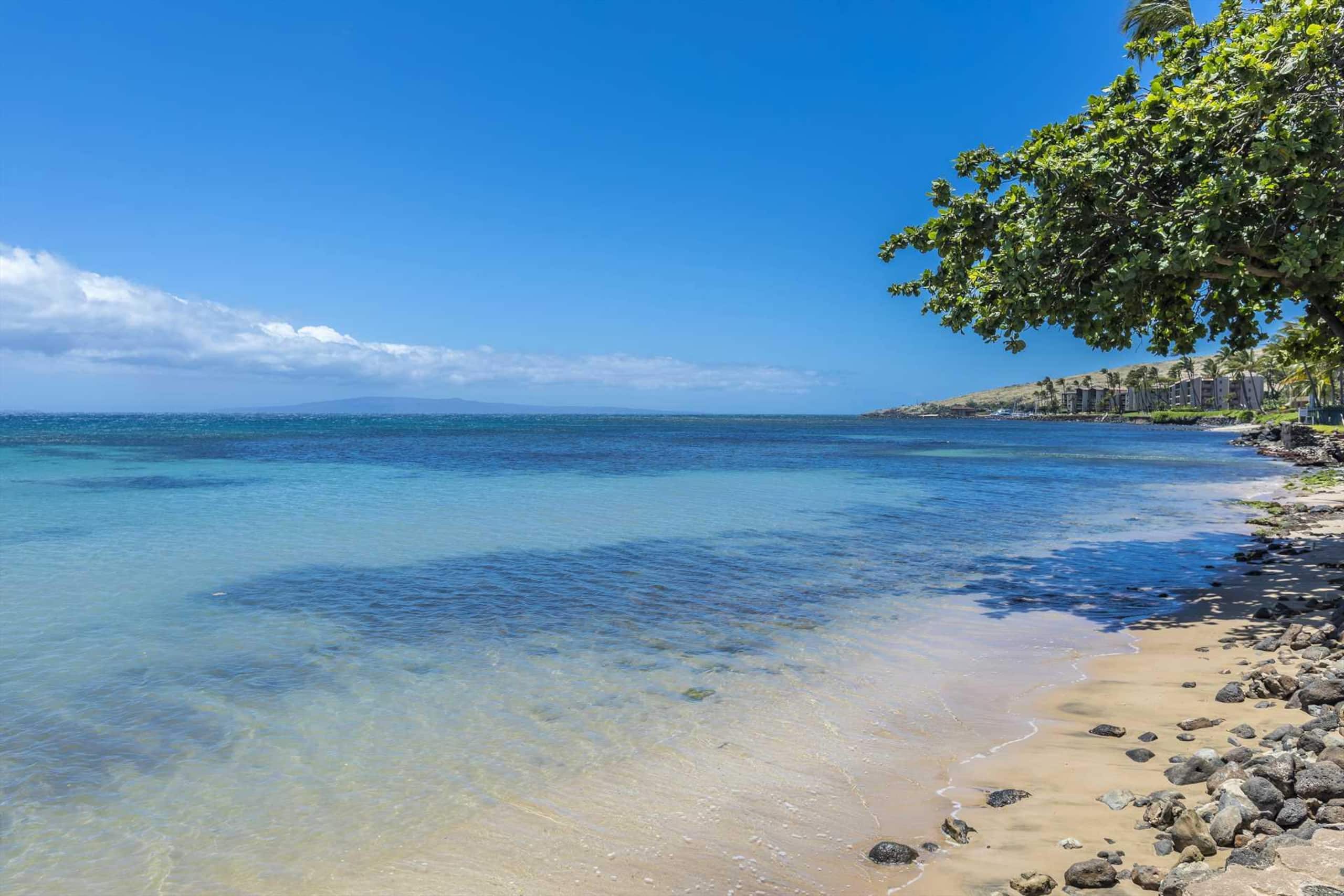 Condo in Wailuku · ★4.71 · 2 bedrooms · 3 beds · 2 baths - Image 44