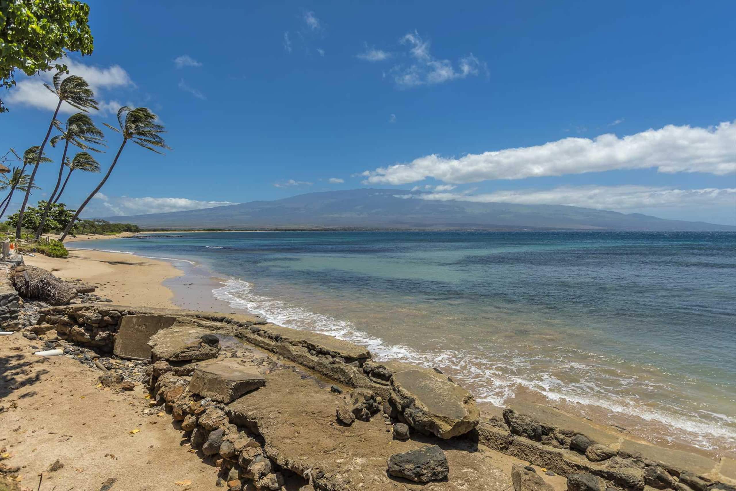 Condo in Wailuku · ★4.71 · 2 bedrooms · 3 beds · 2 baths - Image 43