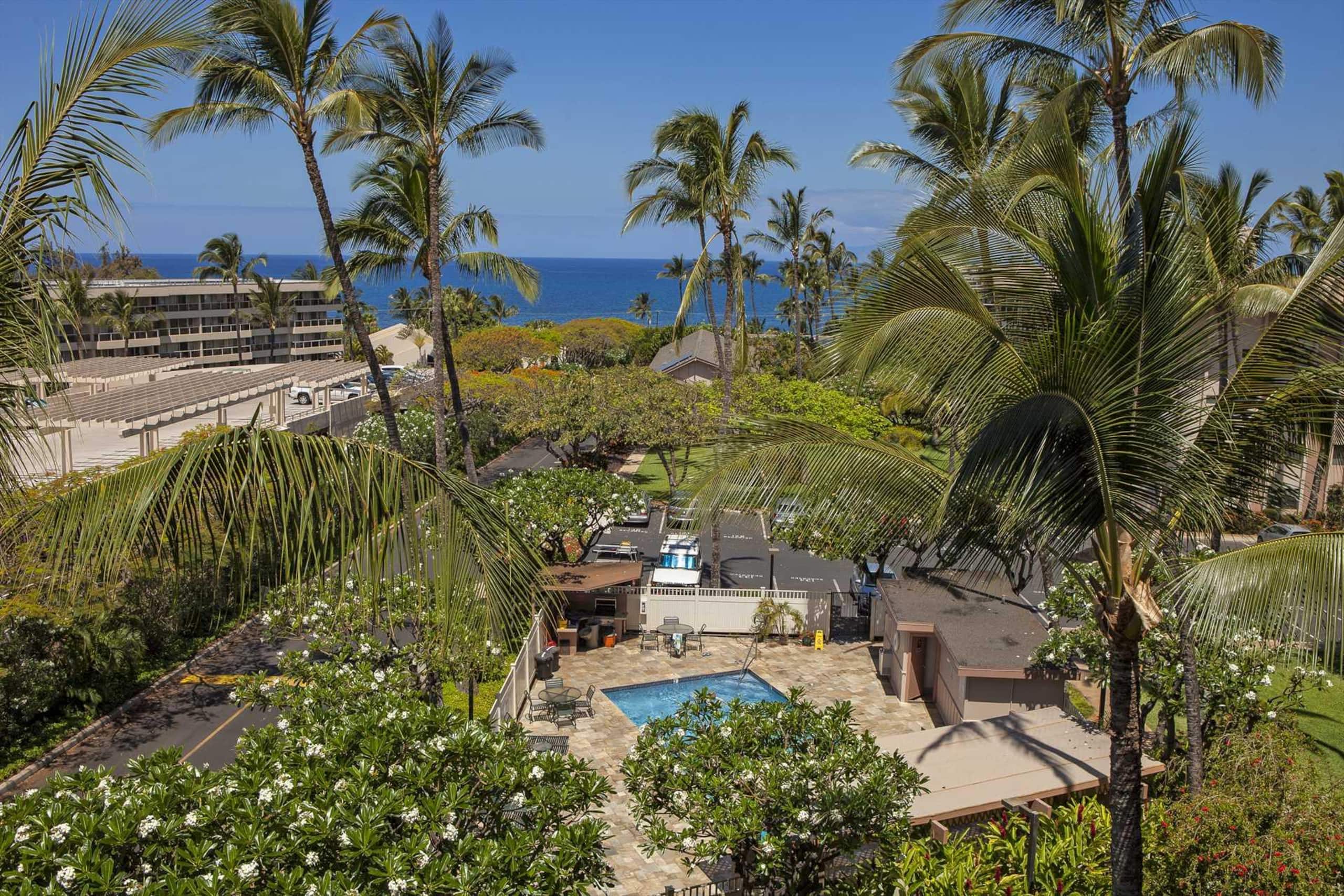 Condo in Kihei · ★4.85 · 1 bedroom · 2 beds · 1 bath - Image 4
