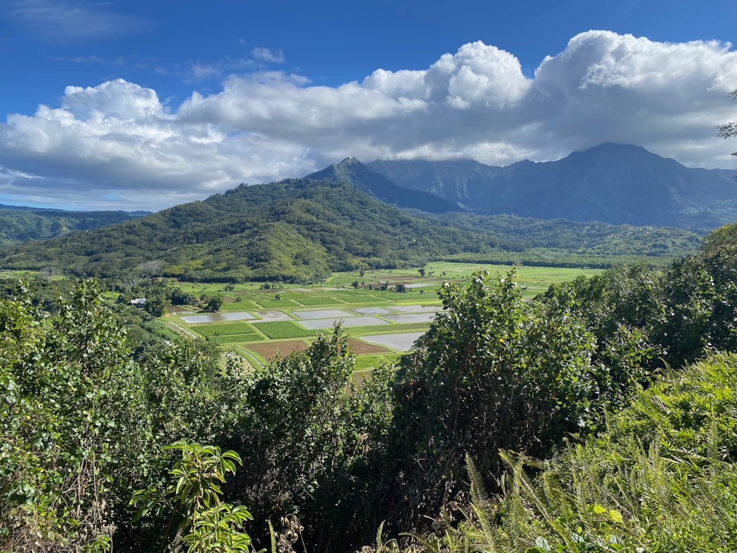 Home in Princeville · ★5.0 · 3 bedrooms · 4 beds · 2 baths - Image 34