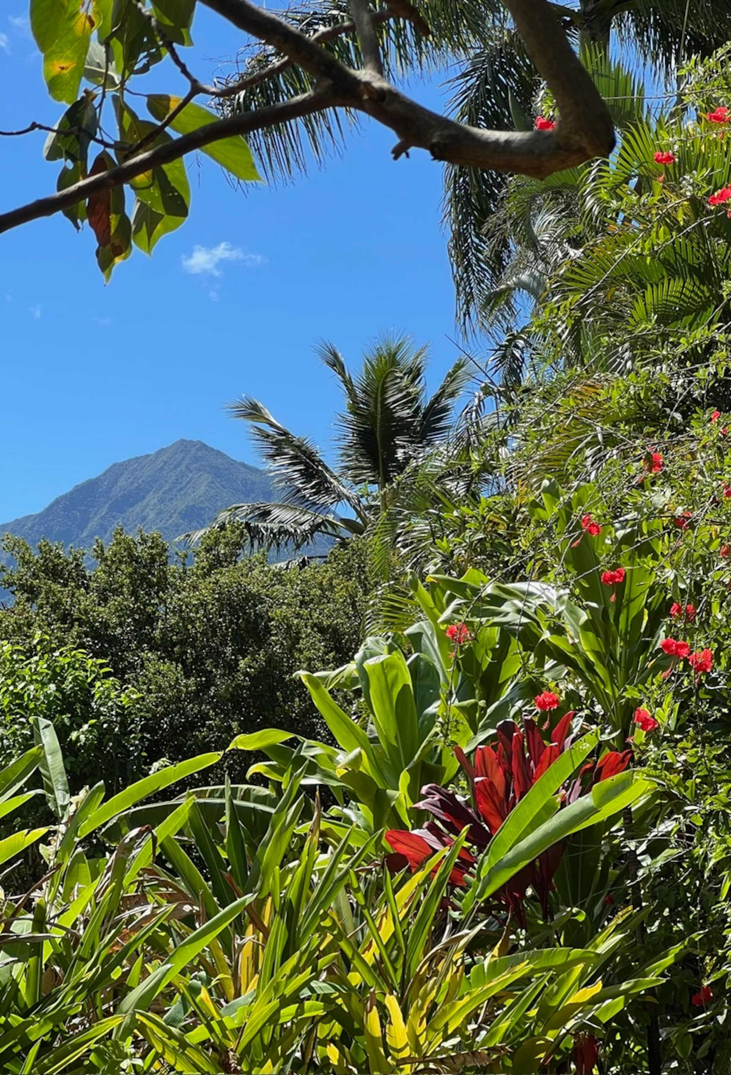 Home in Princeville · ★5.0 · 3 bedrooms · 4 beds · 2 baths - Image 33