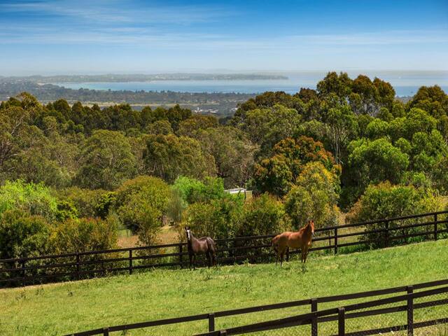 Red Hill Ridgeview Luxury Retreat gallery image 5