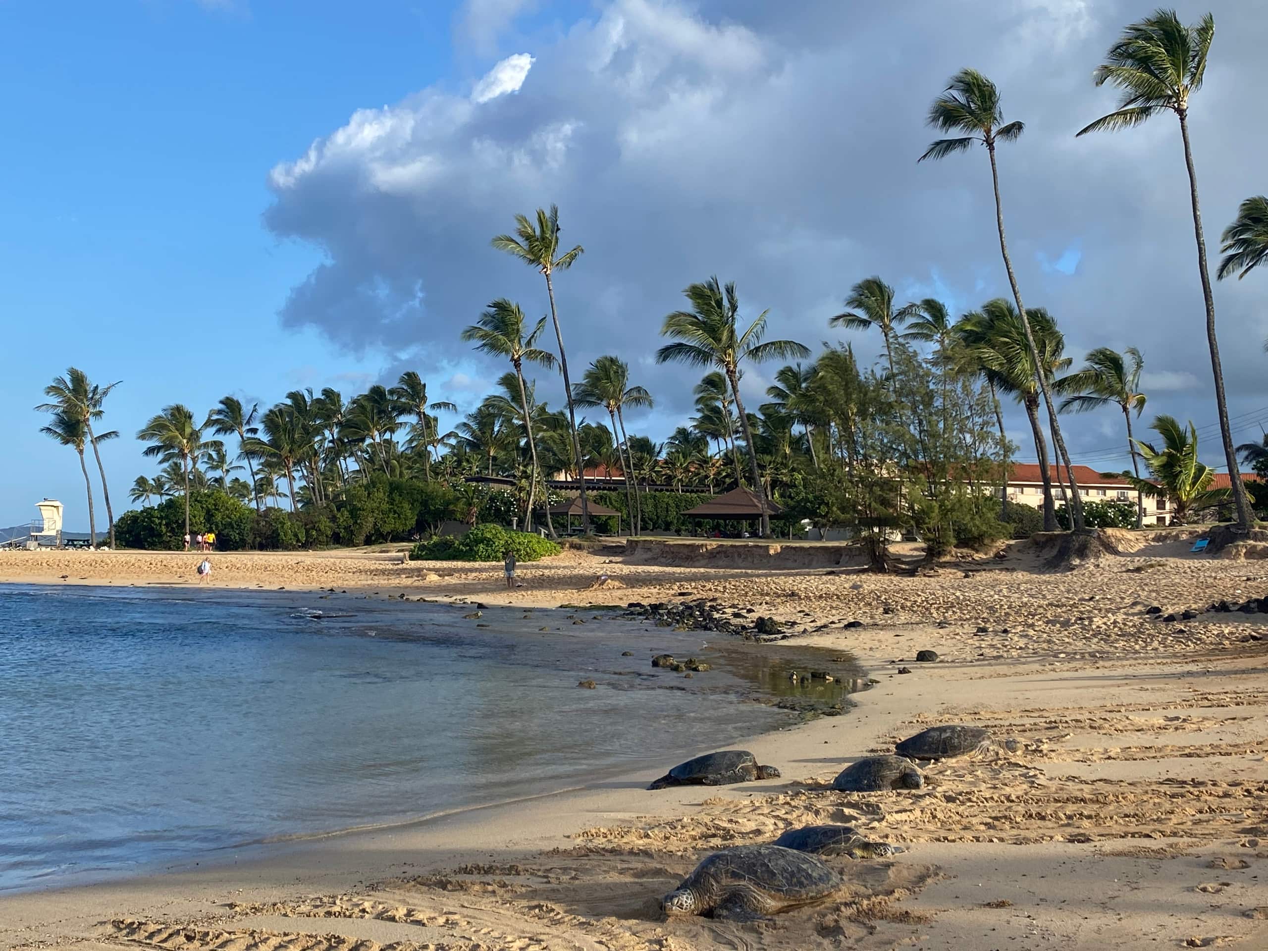 Newly Upgraded Modern Cottage in Poipu with A/C - Image 27