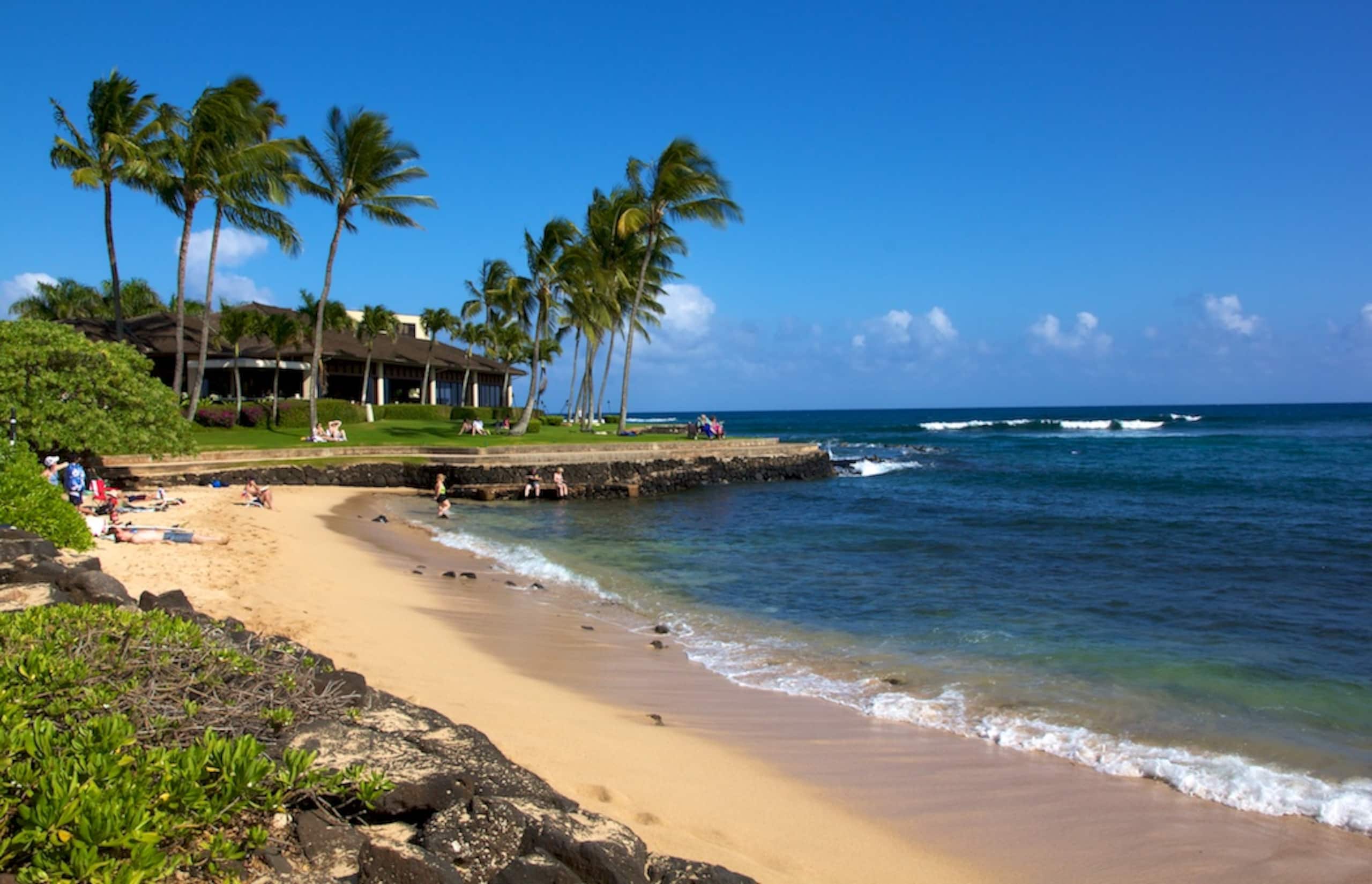 Newly Upgraded Modern Cottage in Poipu with A/C - Image 13